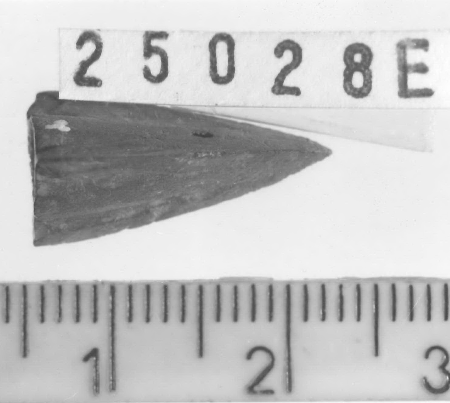 punta di freccia - Piceno V (fine sec. V a.C)