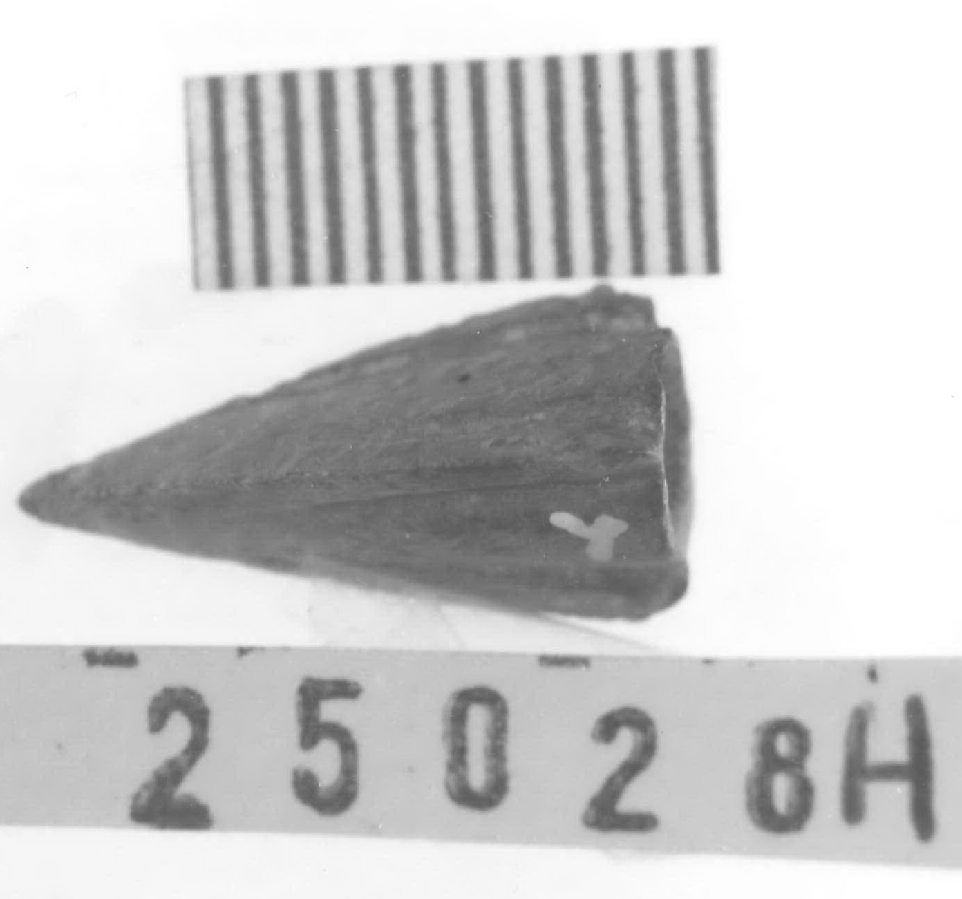 punta di freccia - Piceno V (fine sec. V a.C)