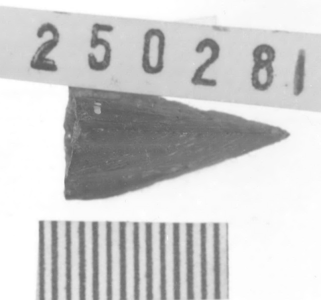 punta di freccia - Piceno V (fine sec. V a.C)