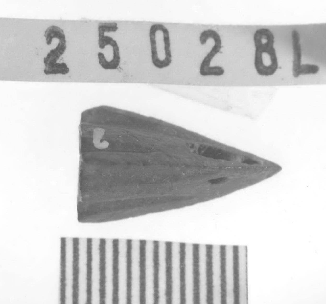 punta di freccia - Piceno V (fine sec. V a.C)