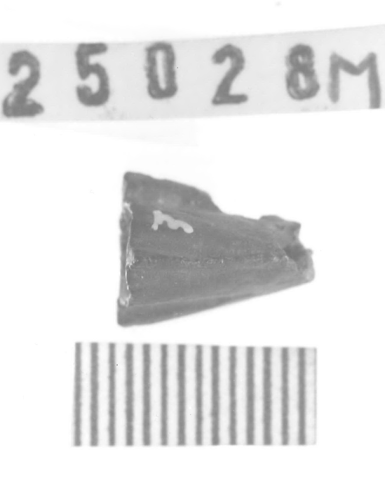 punta di freccia - Piceno V (fine sec. V a.C)