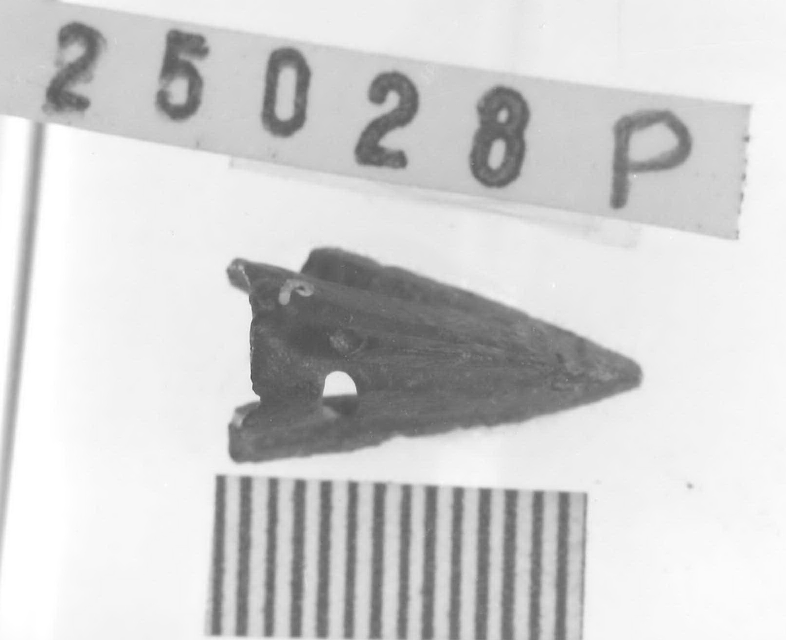 punta di freccia - Piceno V (fine sec. V a.C)