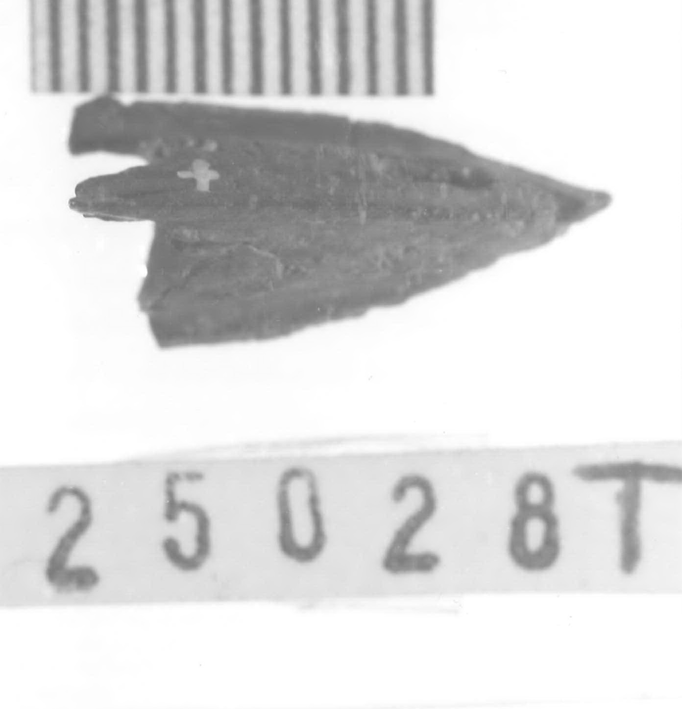 punta di freccia - Piceno V (fine sec. V a.C)