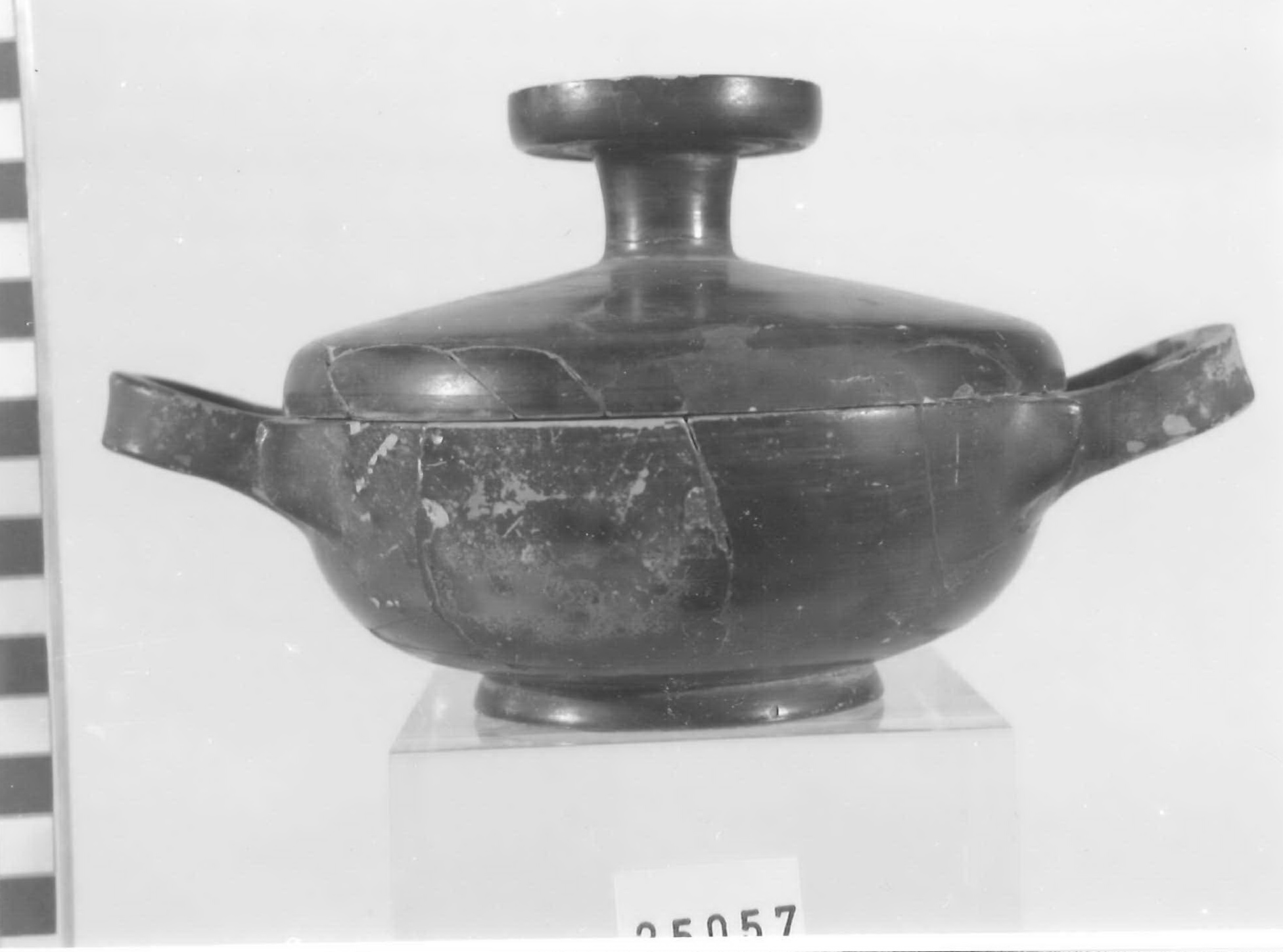 lekanis con coperchio - Piceno V (fine sec. V a.C)