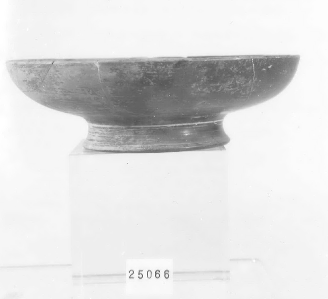 coppa - Piceno V (fine sec. V a.C)