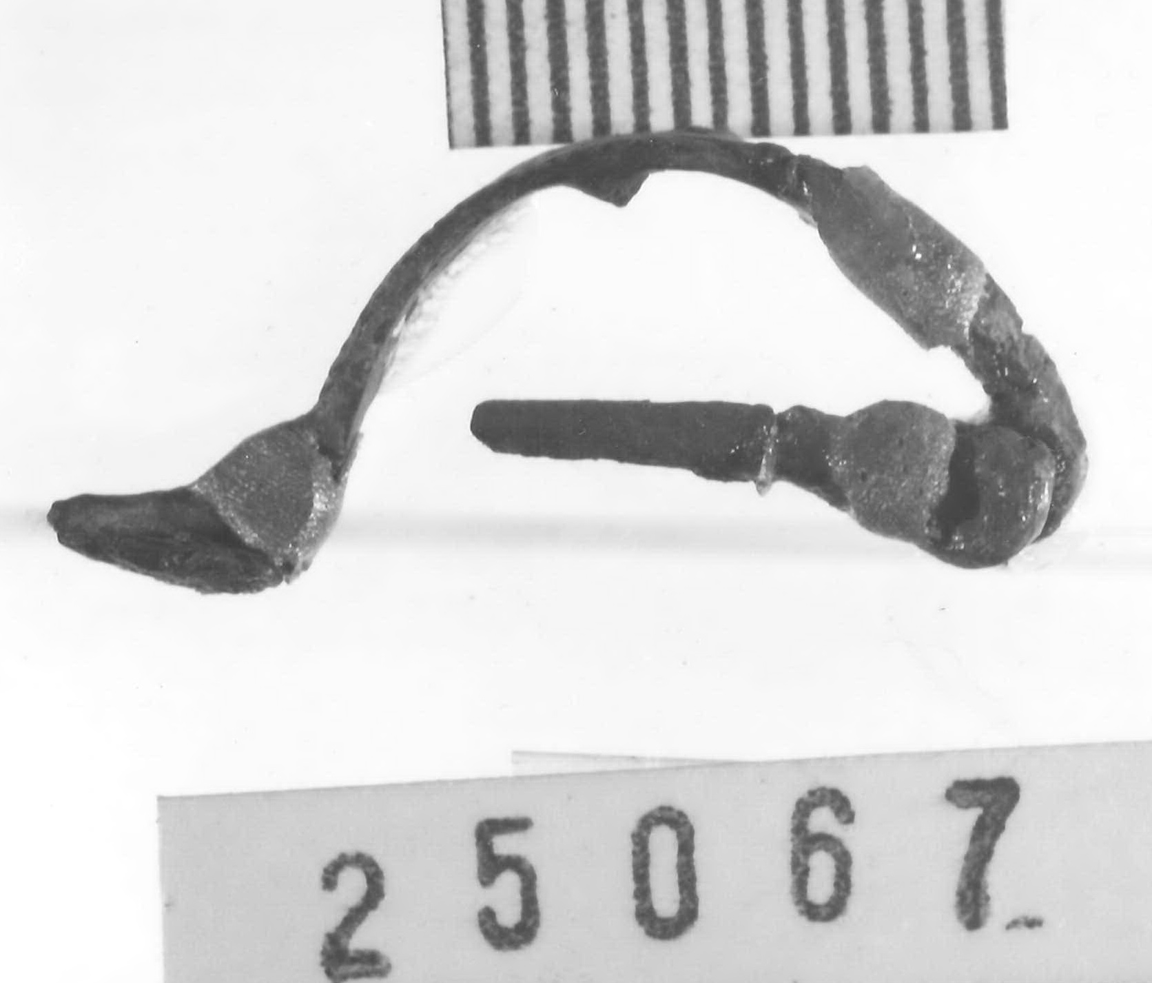 fibula ad arco leggermente ingrossato - Piceno V (fine sec. V a.C)