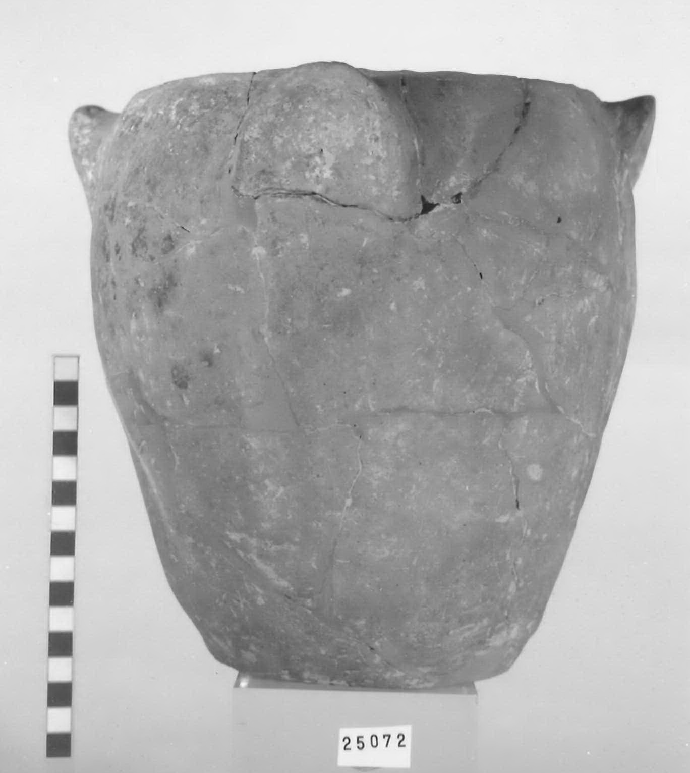 olla ovoide - Piceno V (fine sec. V a.C)