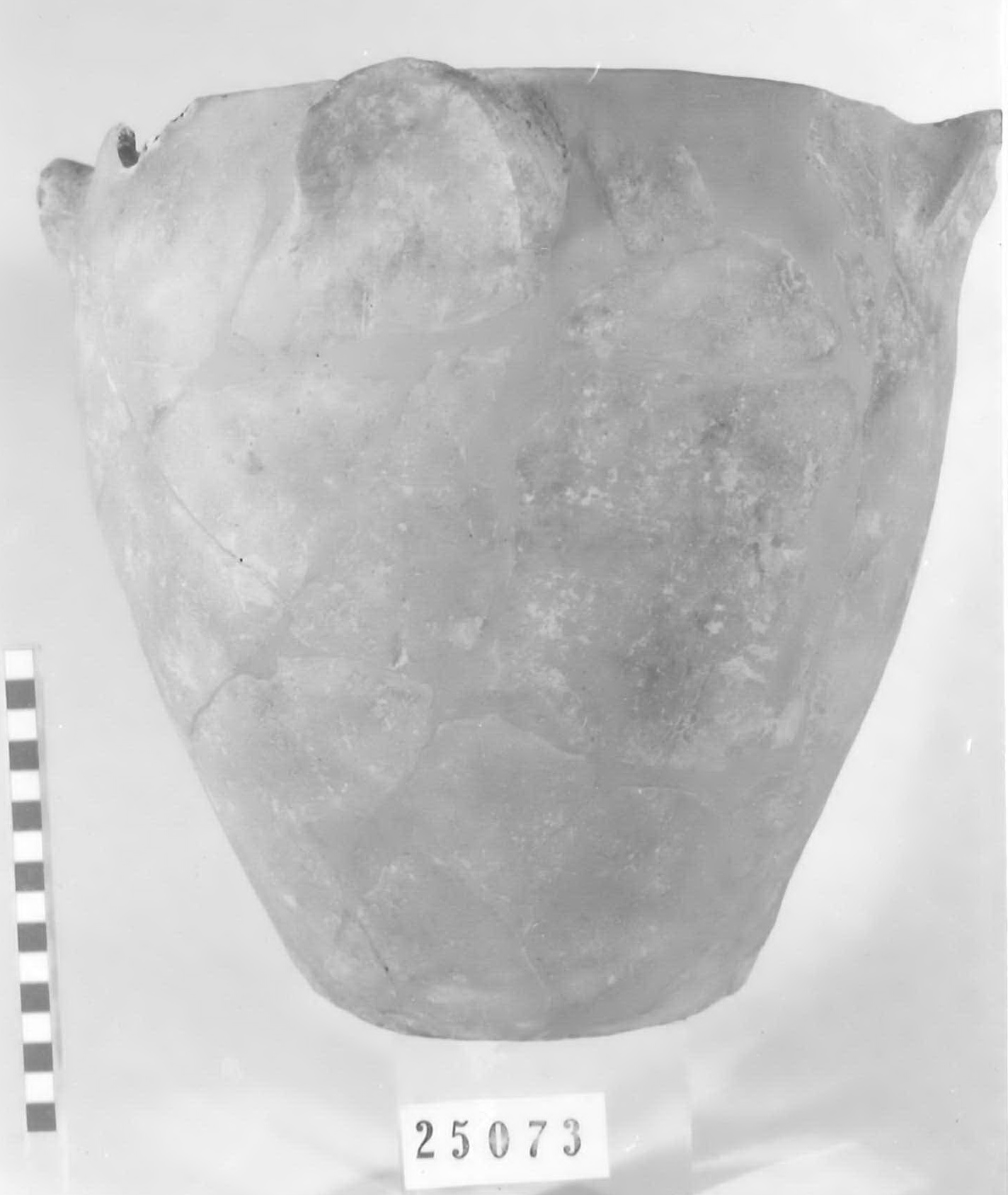 olla ovoide - Piceno V (fine sec. V a.C)