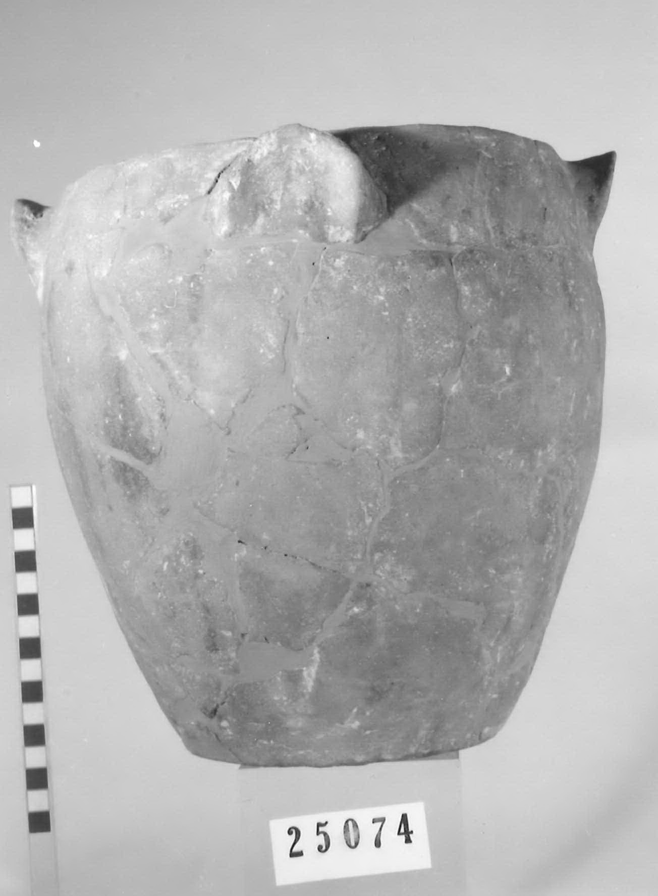 olla ovoide - Piceno V (fine sec. V a.C)