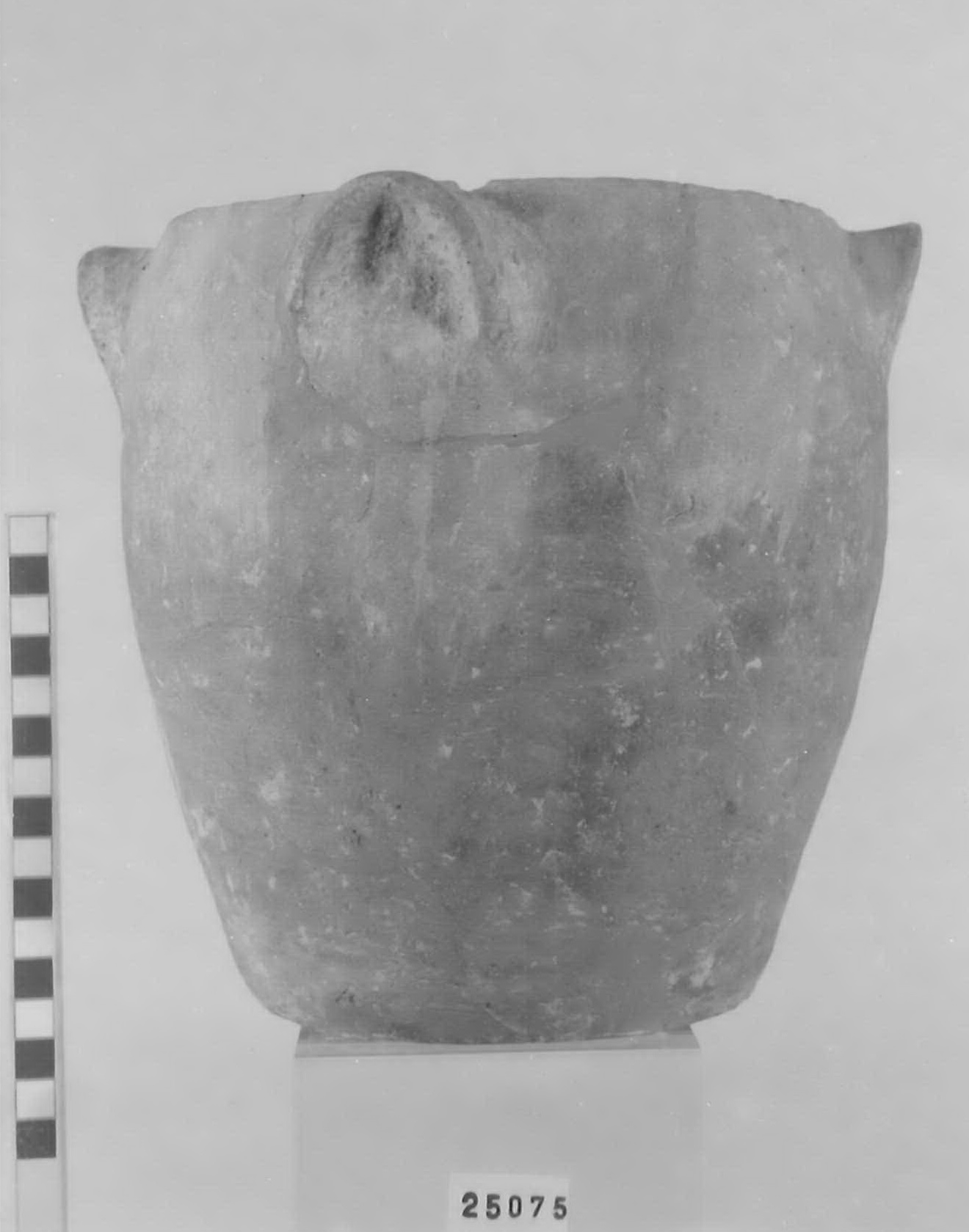 olla ovoide - Piceno V (fine sec. V a.C)