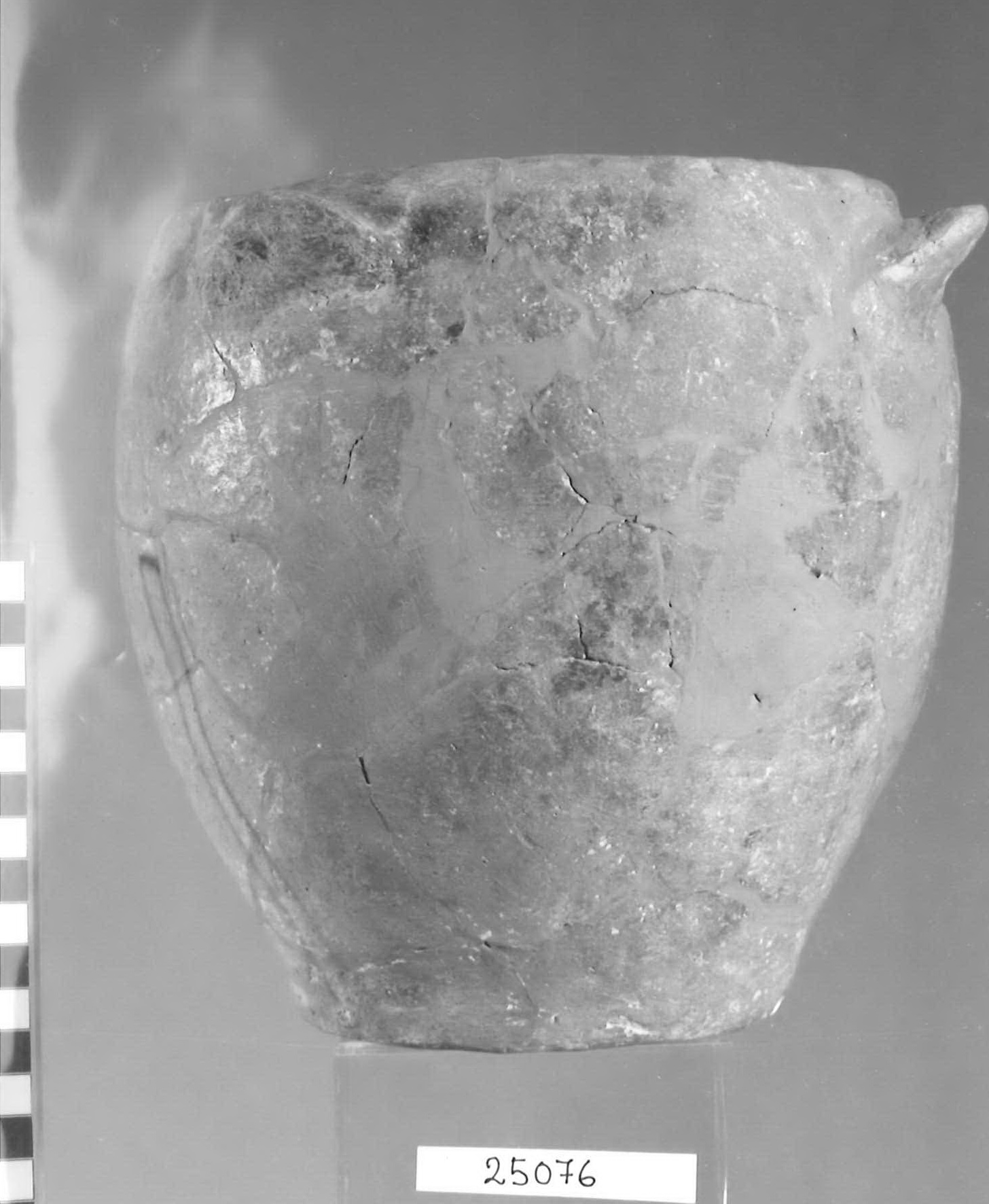 olla ovoide - Piceno V (fine sec. V a.C)