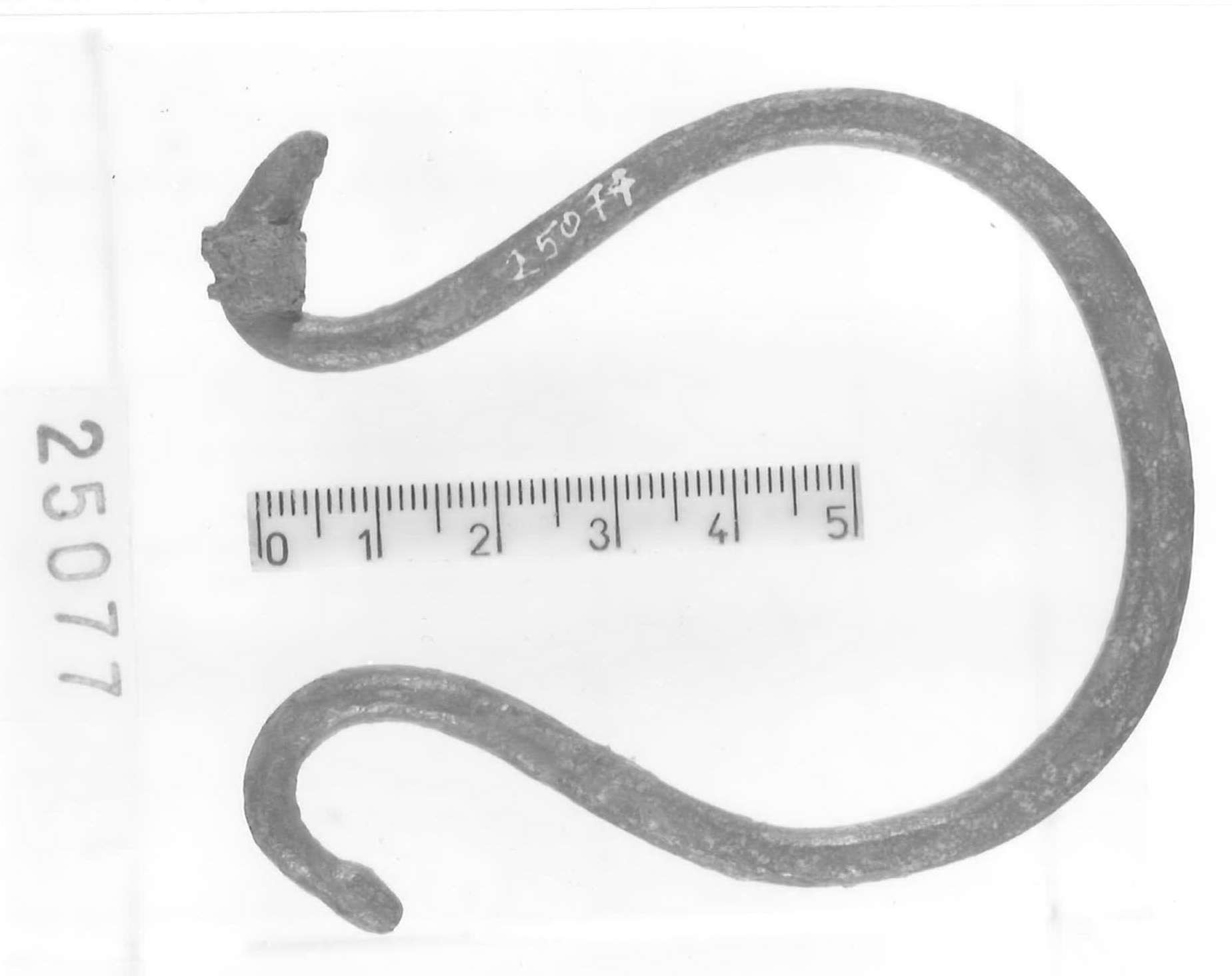 ansa - Piceno V (fine sec. V a.C)