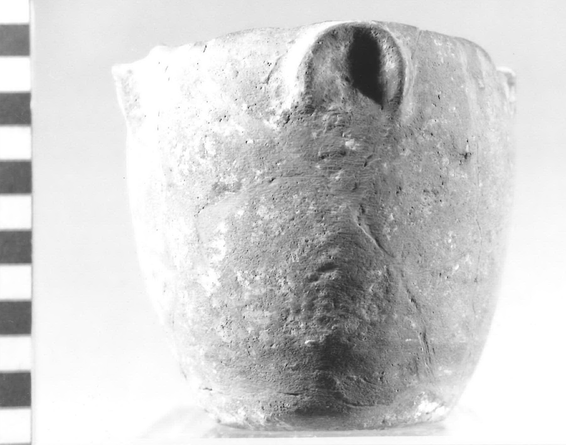 olla ovoide - Piceno V (fine sec. V a.C)