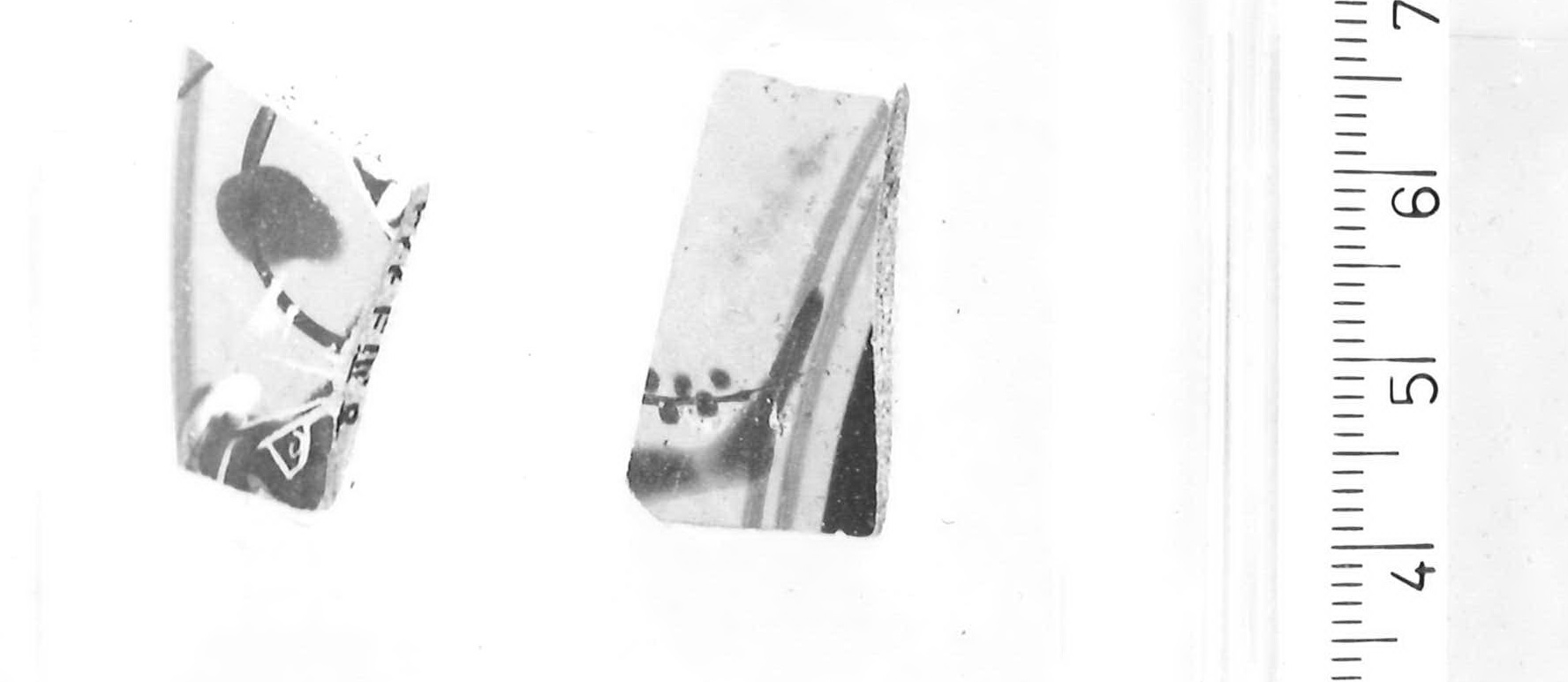 kylix/ frammenti di Pittore di Caylus (maniera) - Piceno IVB (primo quarto sec. V a.C)