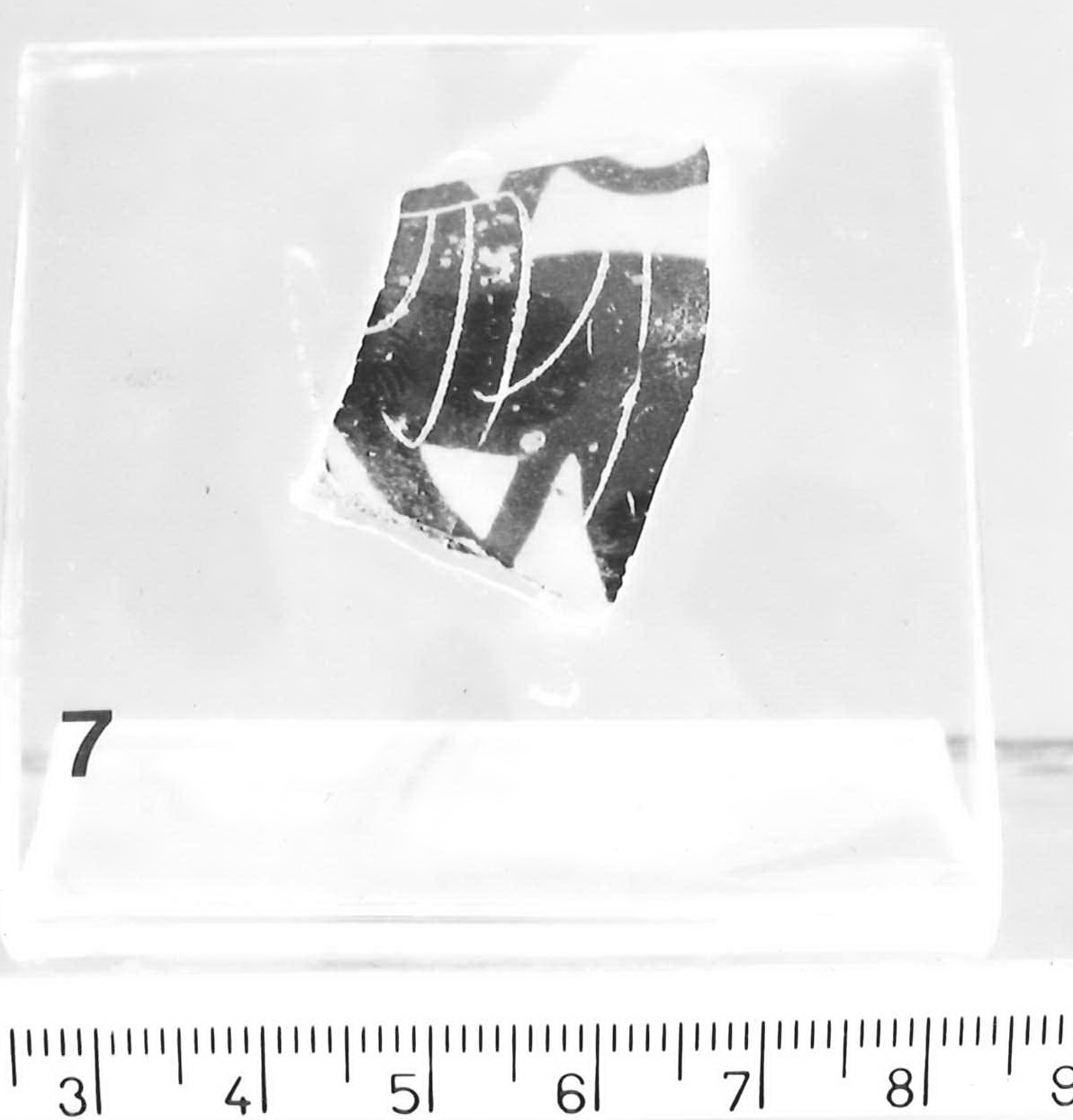 kylix (?)/ frammento di Pittore di Haimon (gruppo) - Piceno IV B (sec. V a.C)