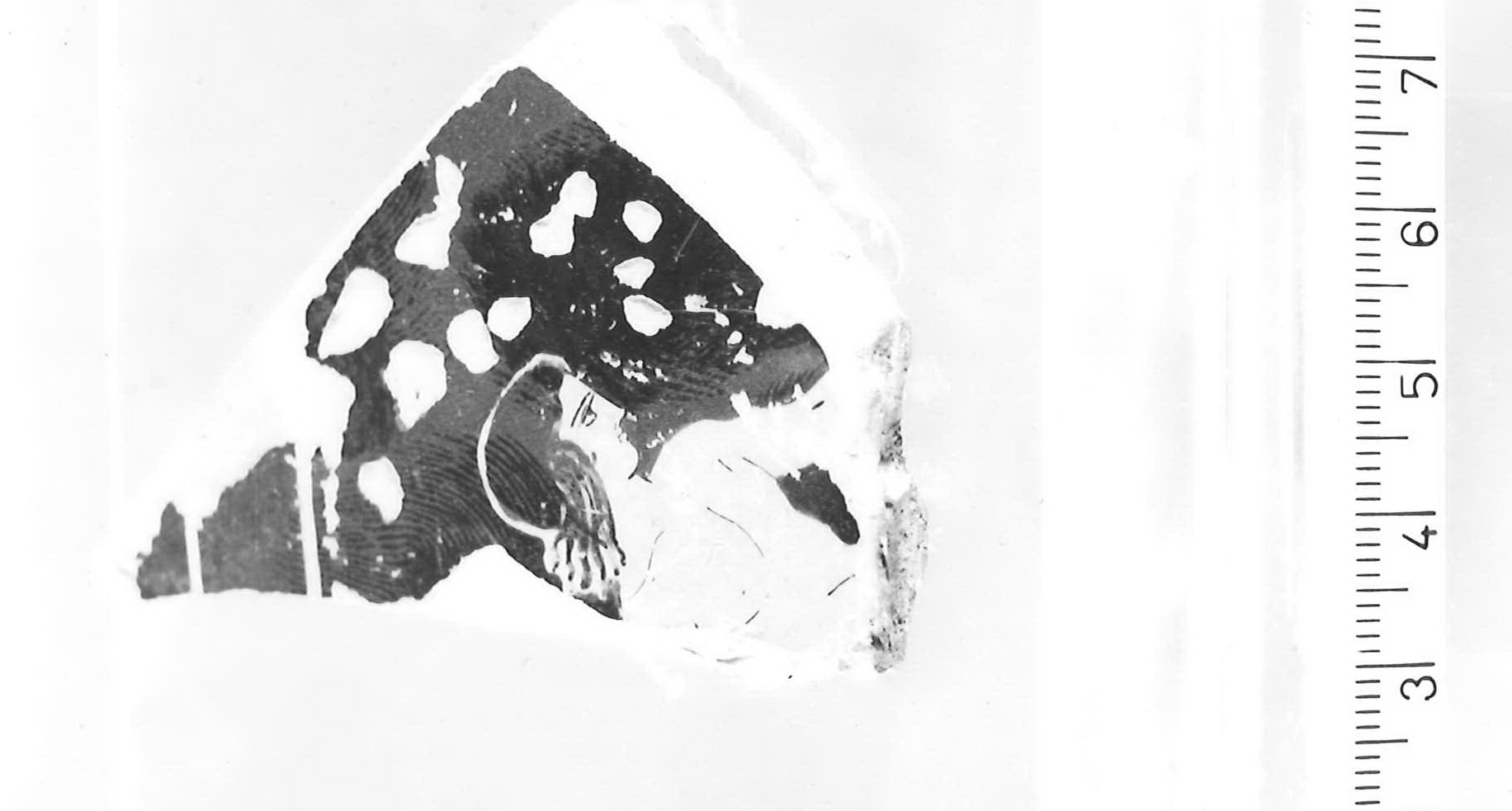 cratere a calice/ frammento di Pittore dei Niobidi (bottega) - Piceno IV B (sec. V a.C)