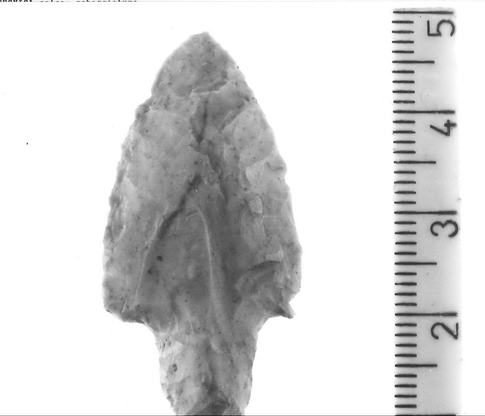 punta di freccia - Piceno IV B (sec. VI a.C, Neo-eneolitico)