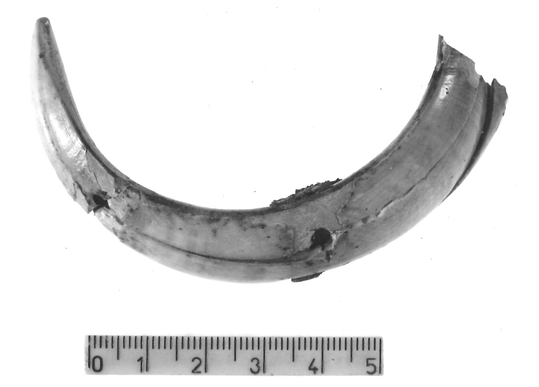 pendaglio - Piceno IV B (sec. VI a.C)