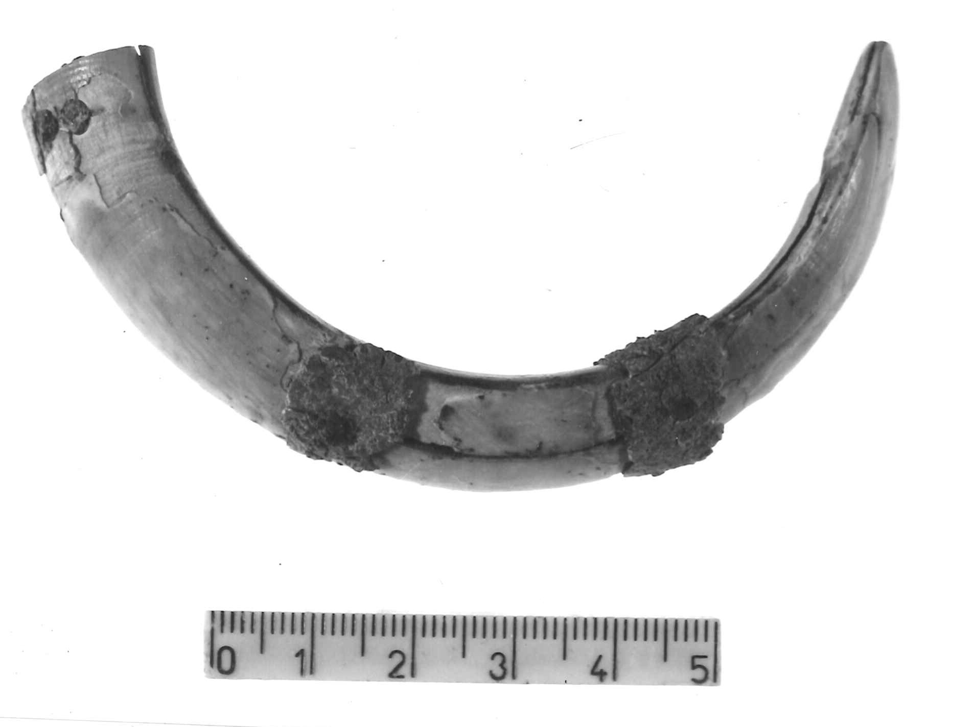 pendaglio - Piceno IV B (sec. VI a.C)