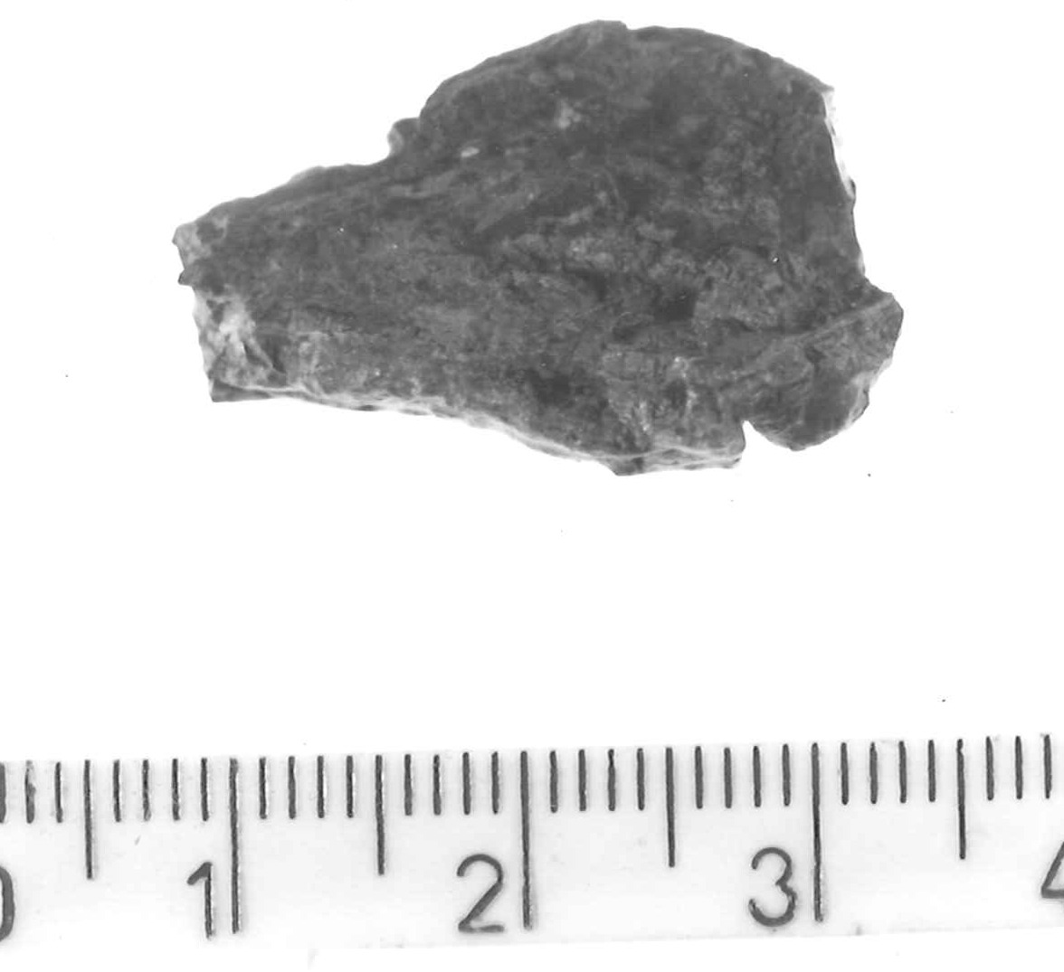 pendente lanceolato - Piceno IV B (sec. VI a.C)