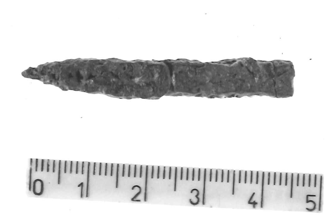 pinzetta (?)/ frammento - Piceno IV B (sec. VI a.C)