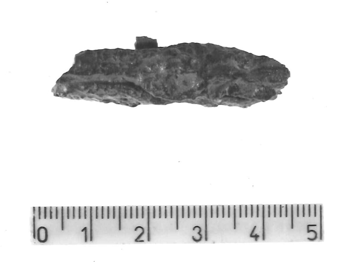 pinzetta (?)/ frammento - Piceno IV B (sec. VI a.C)