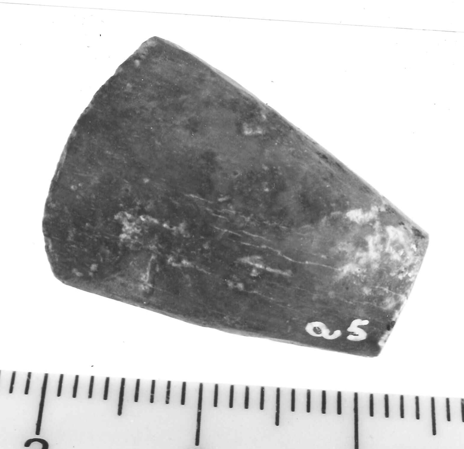 fibula ad arco rivestito/ frammento - Piceno IV B (sec. VI a.C)