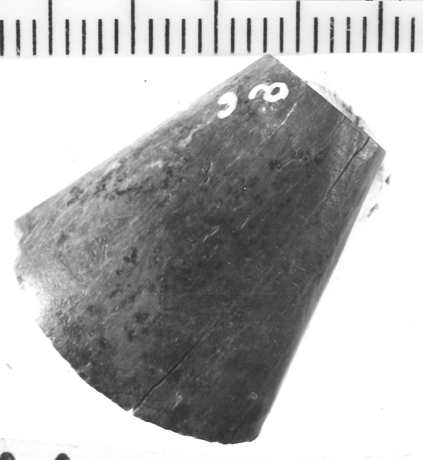 fibula ad arco rivestito/ frammento - Piceno IV B (sec. VI a.C)