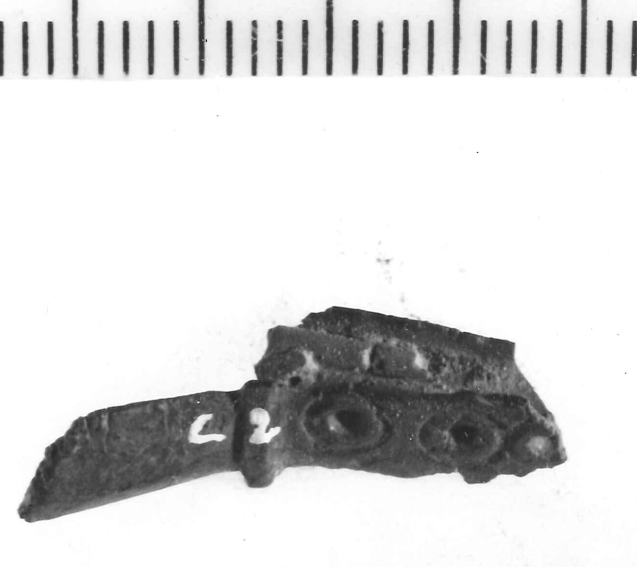 fibula/ frammento, tipo "Certosa" - variante - Piceno IV B (sec. VI a.C)