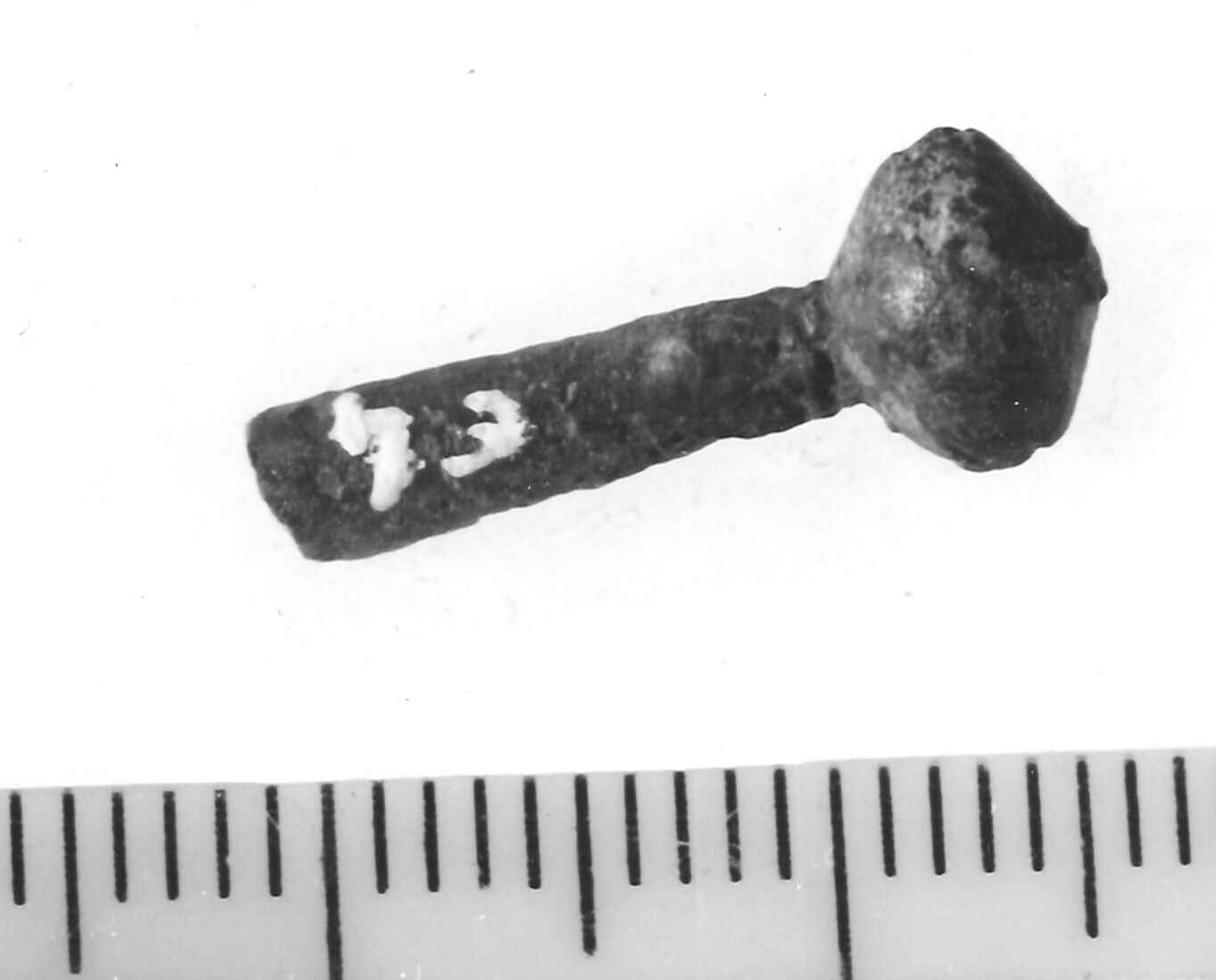 fibula/ frammento - Piceno IV B (sec. VI a.C)