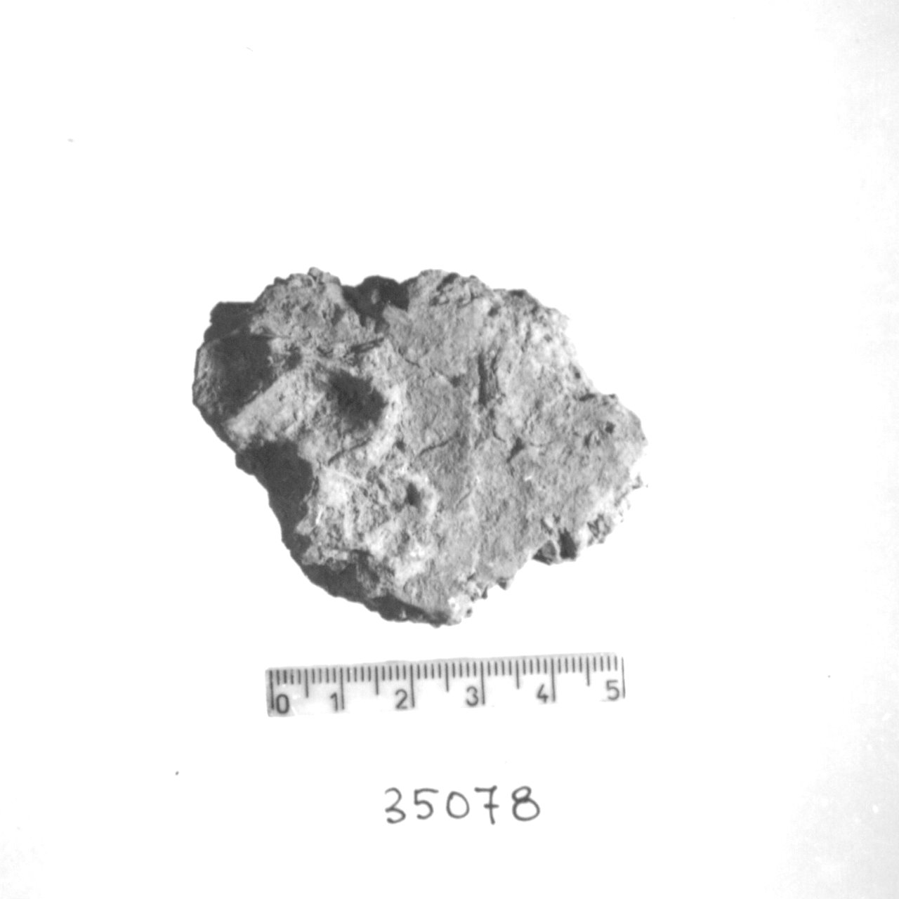 parete/ frammento (Eneolitico)