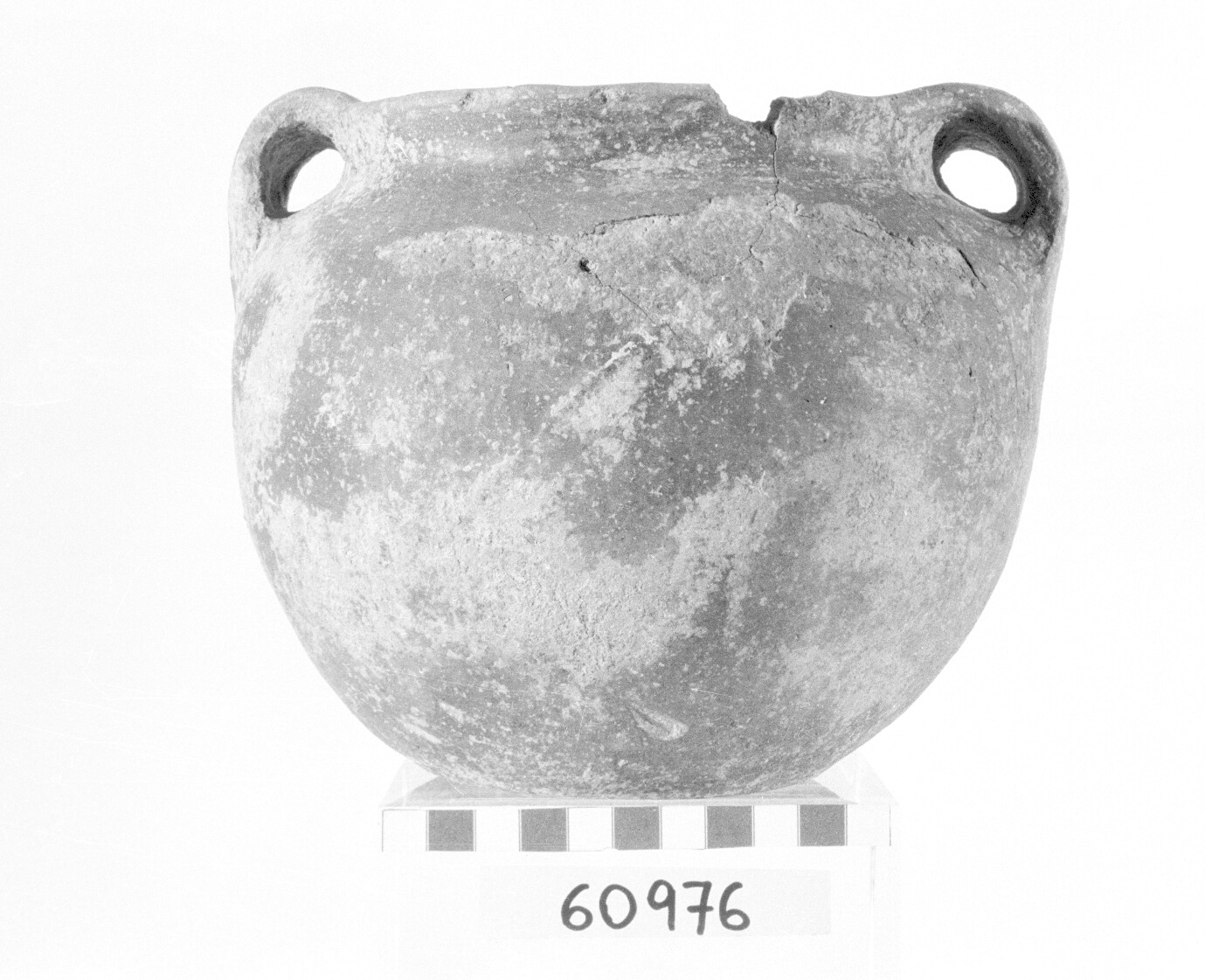 cinerario - Protovillanoviano (Bronzo finale)