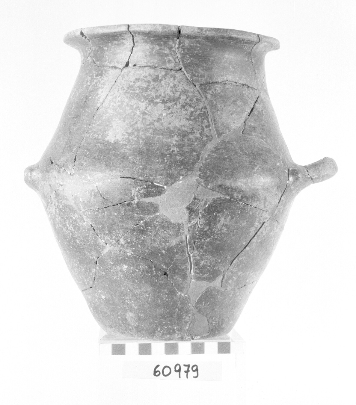 cinerario biconico - Protovillanoviano (Bronzo finale)