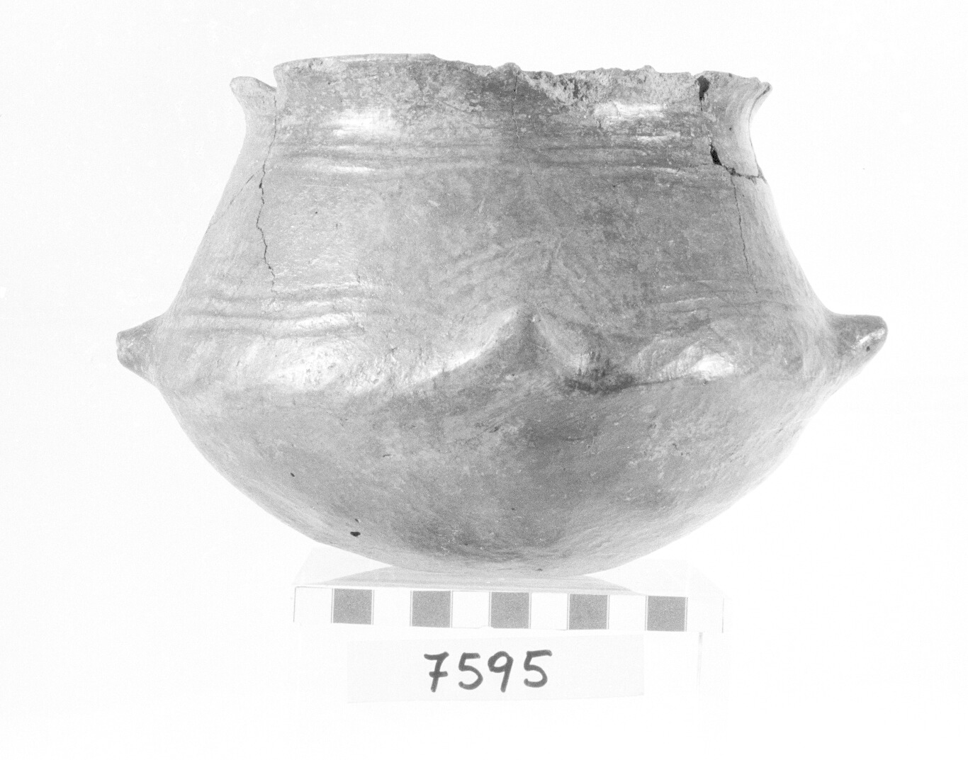 cinerario - Protovillanoviano (Bronzo finale)