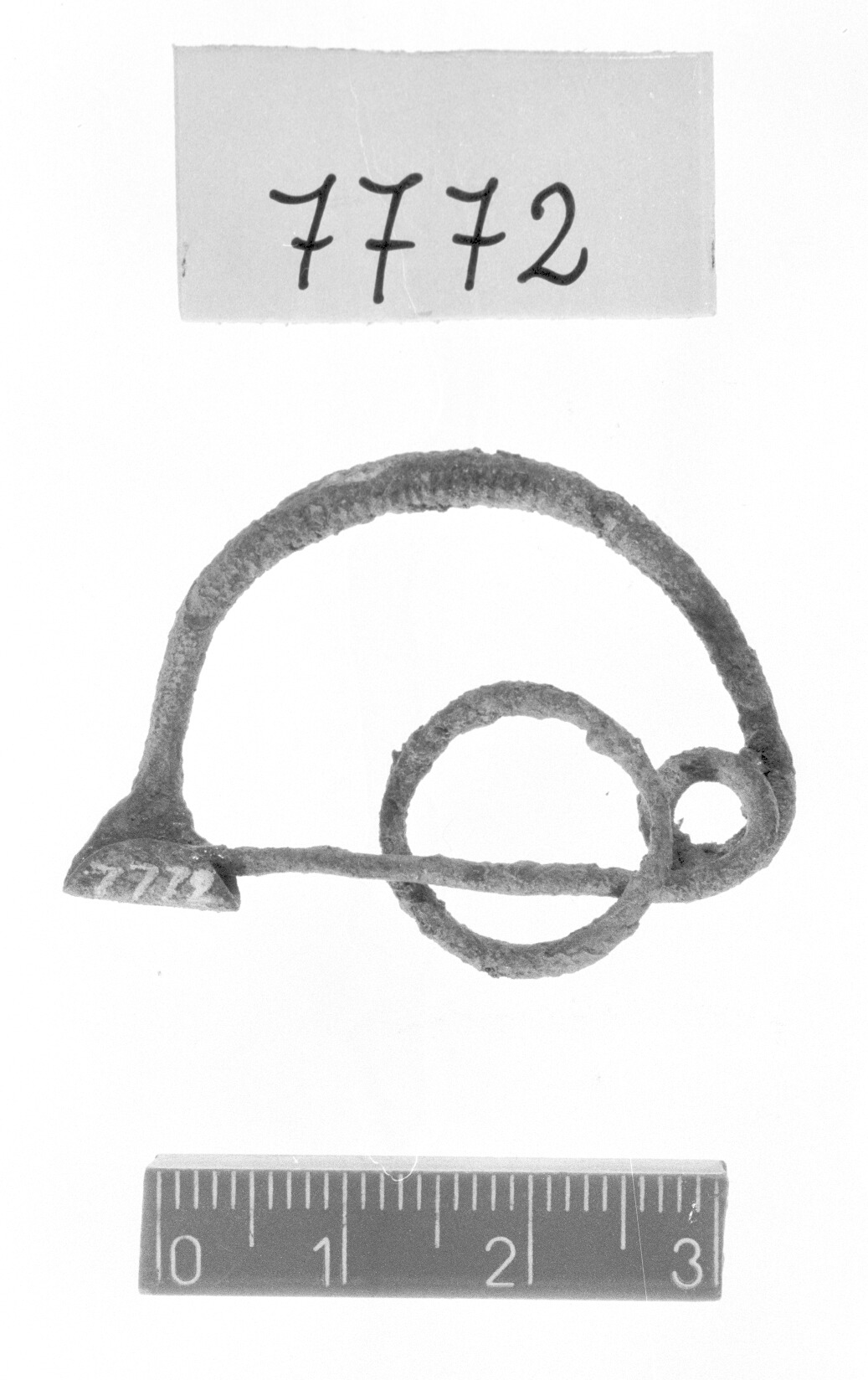 fibula - Protovillanoviano (Bronzo finale)