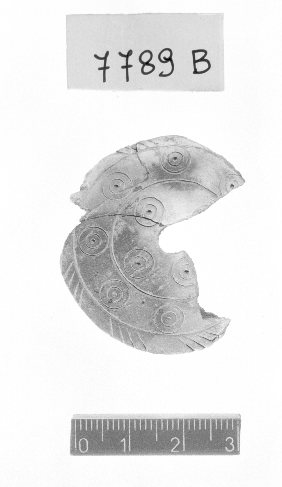 testa di spillone - Protovillanoviano (Bronzo finale)