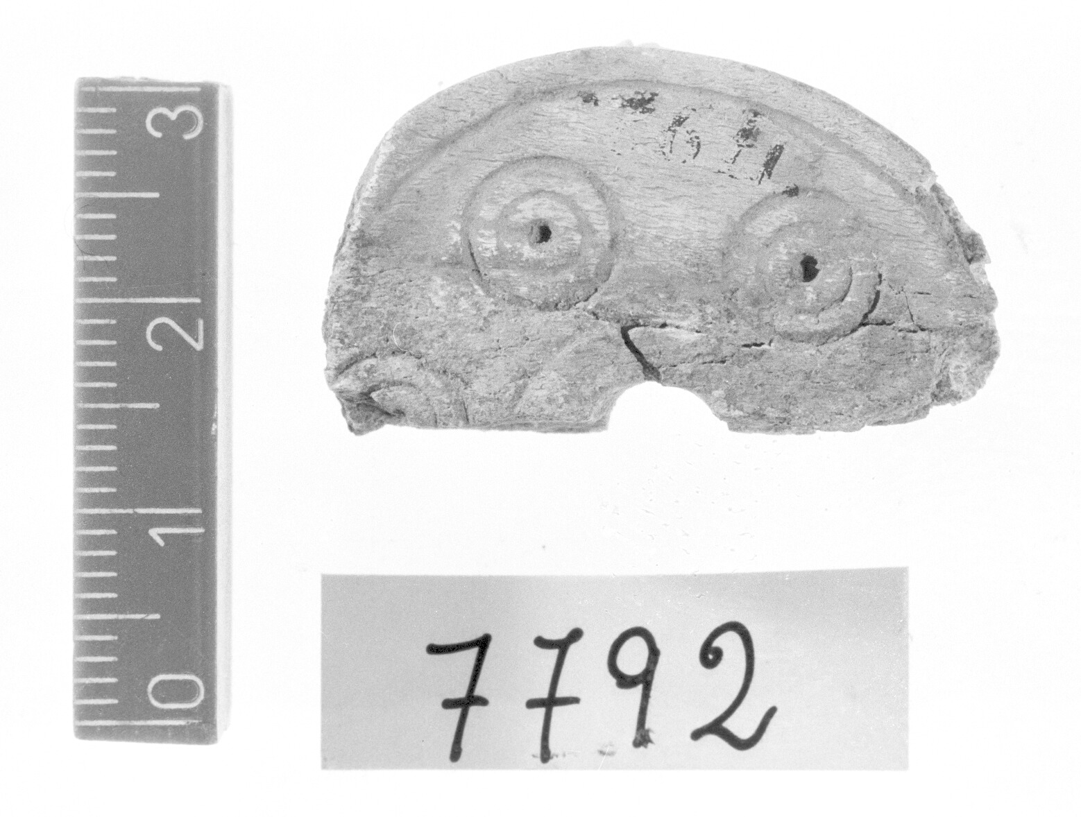 testa di spillone - Protovillanoviano (Bronzo finale)