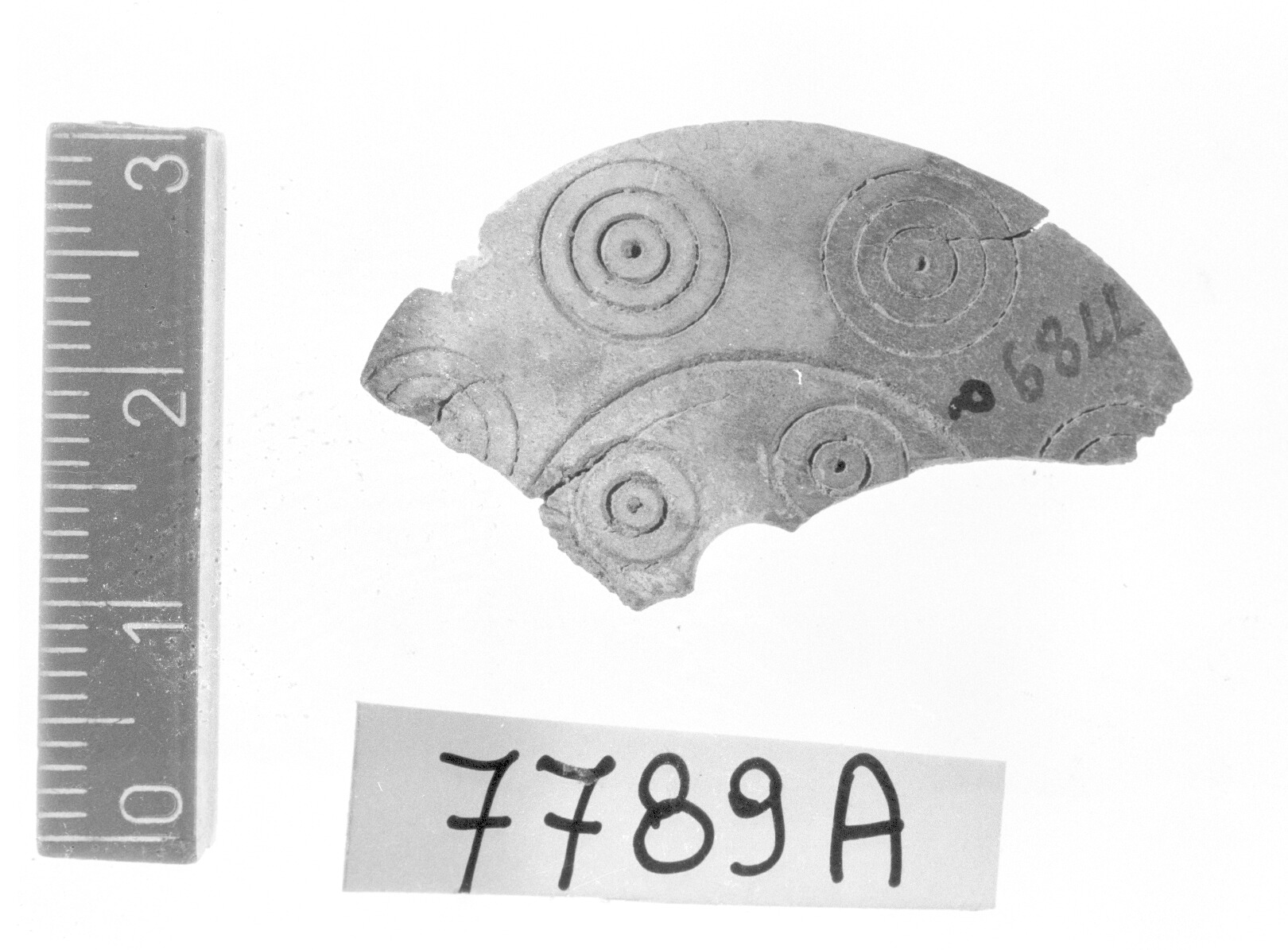 testa di spillone - Protovillanoviano (Bronzo finale)