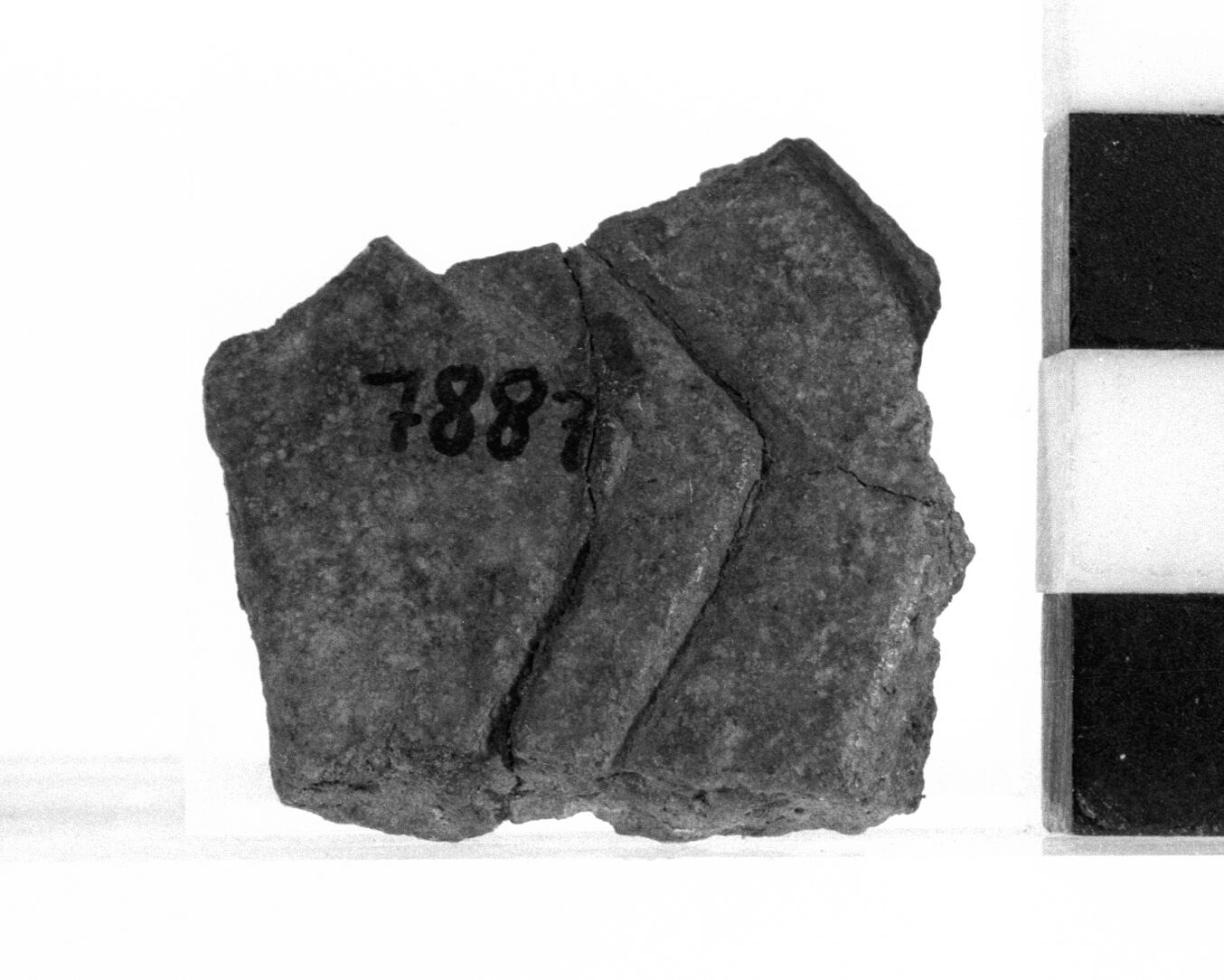 frammento non id - Subappenninico (Bronzo recente)