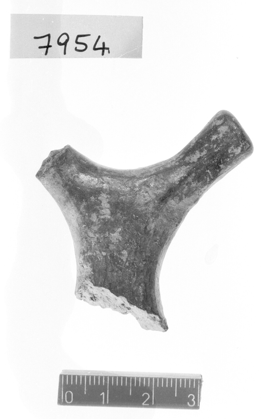 ansa plastica - Subappenninico (Bronzo recente)