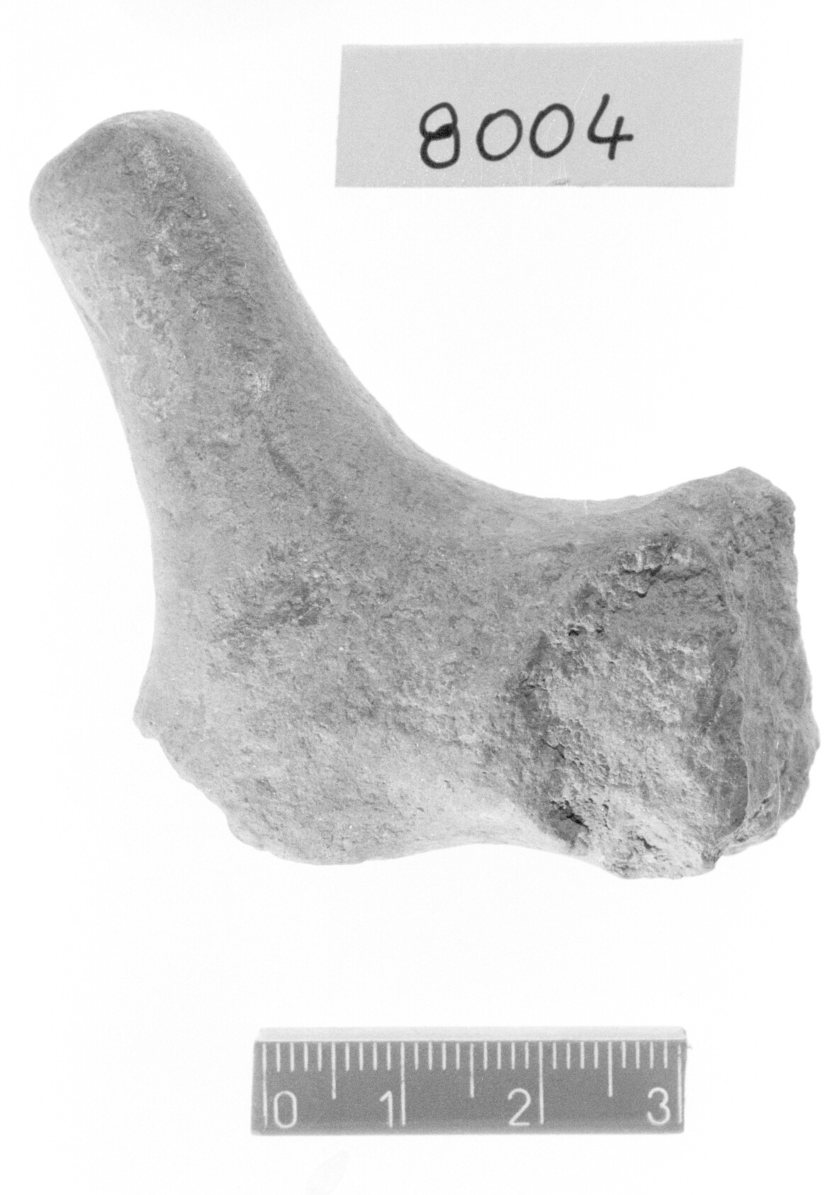 ansa plastica - Subappenninico (Bronzo recente)