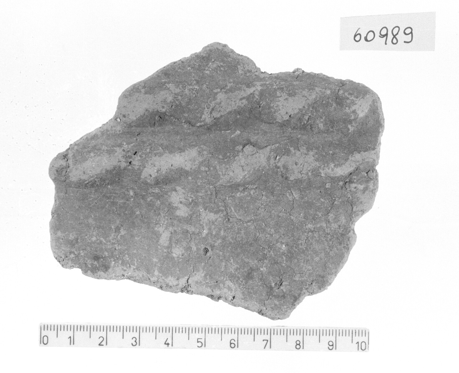 parete di grande vaso/ frammento (Bronzo finale)