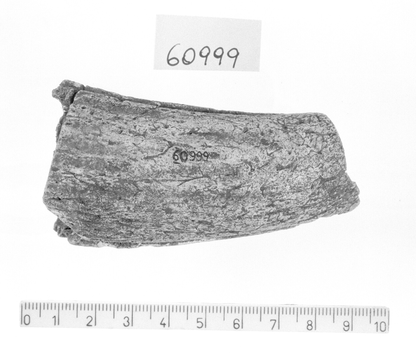 corno di capro semilavorato (Bronzo finale)