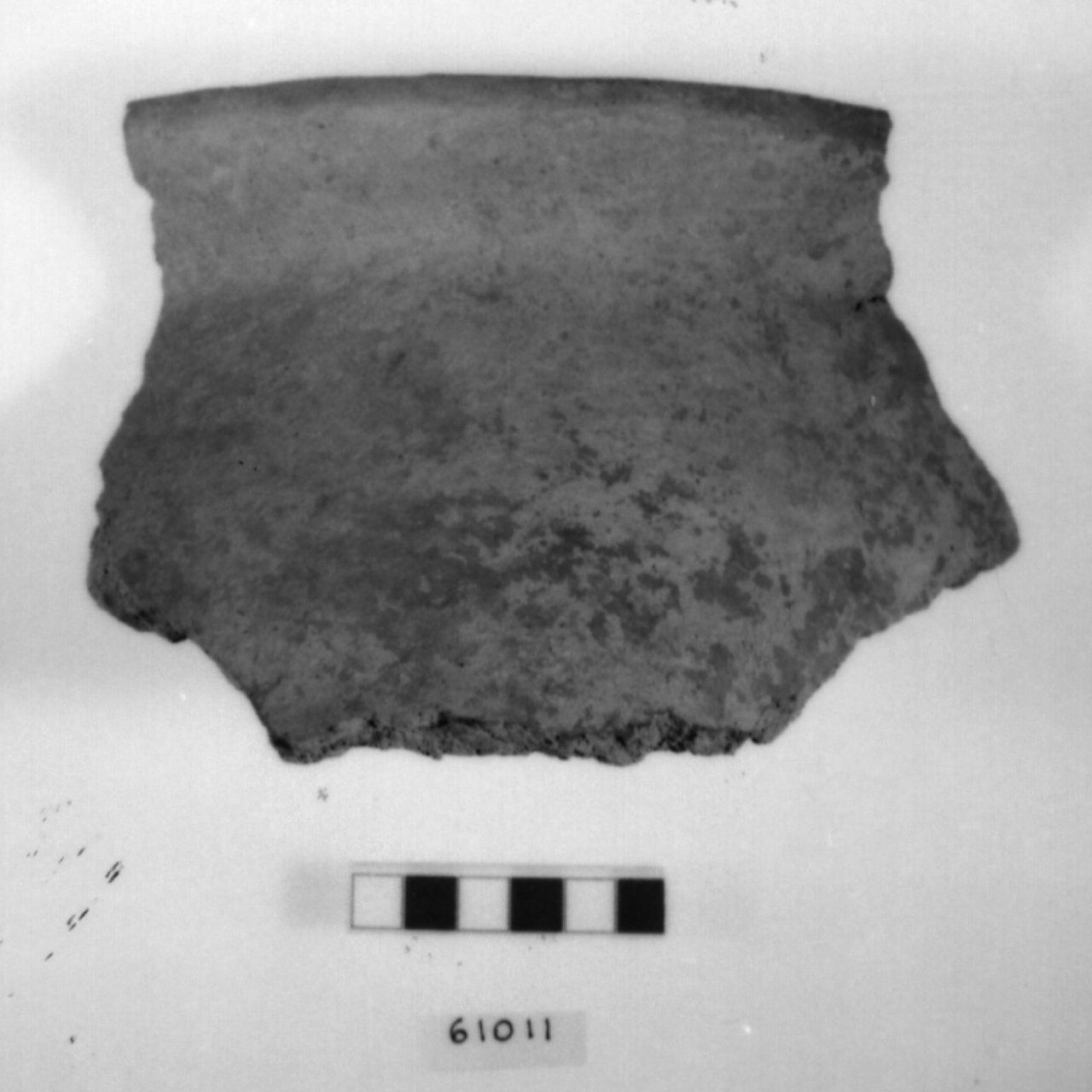 olla con orlo distinto/ frammento (Bronzo finale)