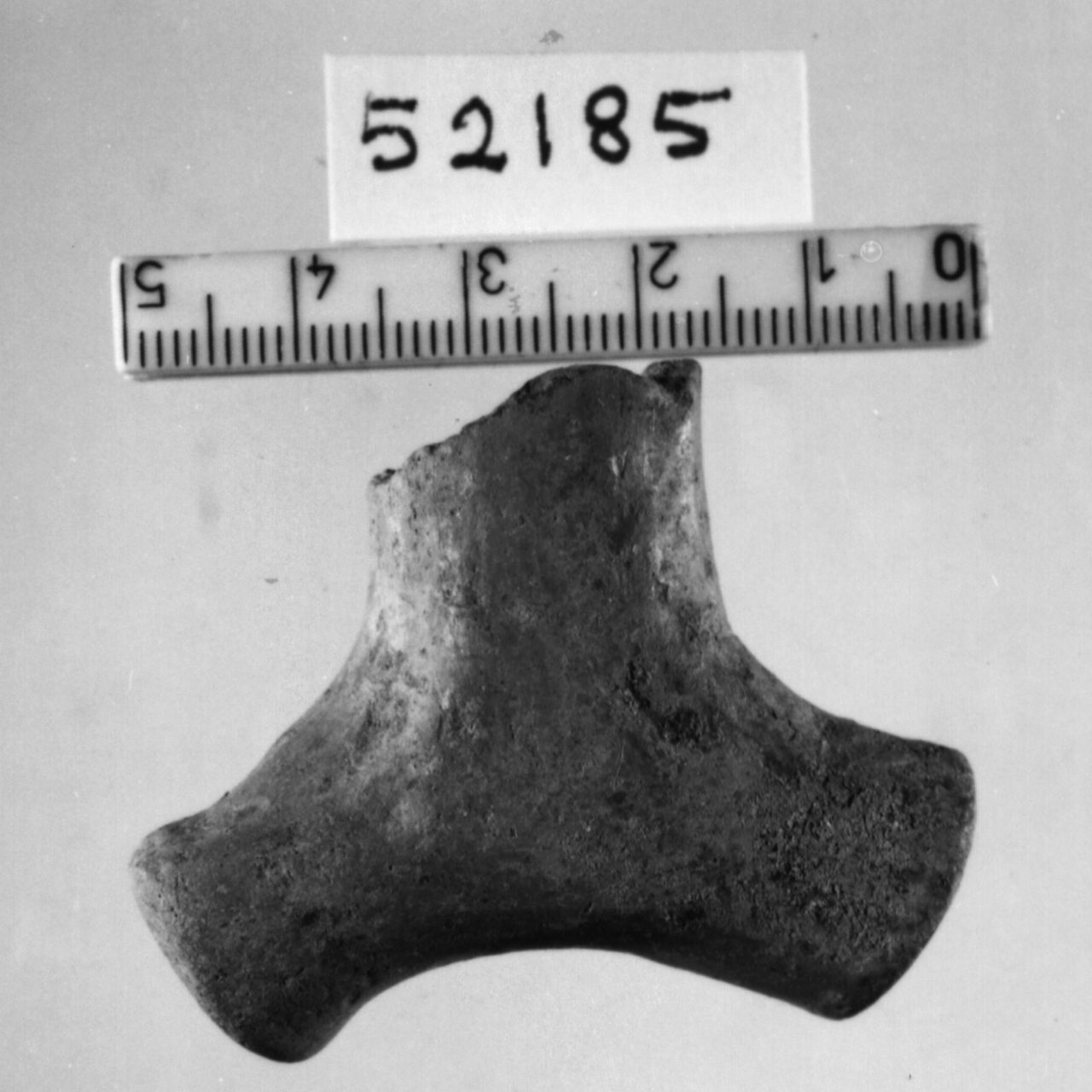 ansa con sopraelevazione a corna tronche (Bronzo recente)