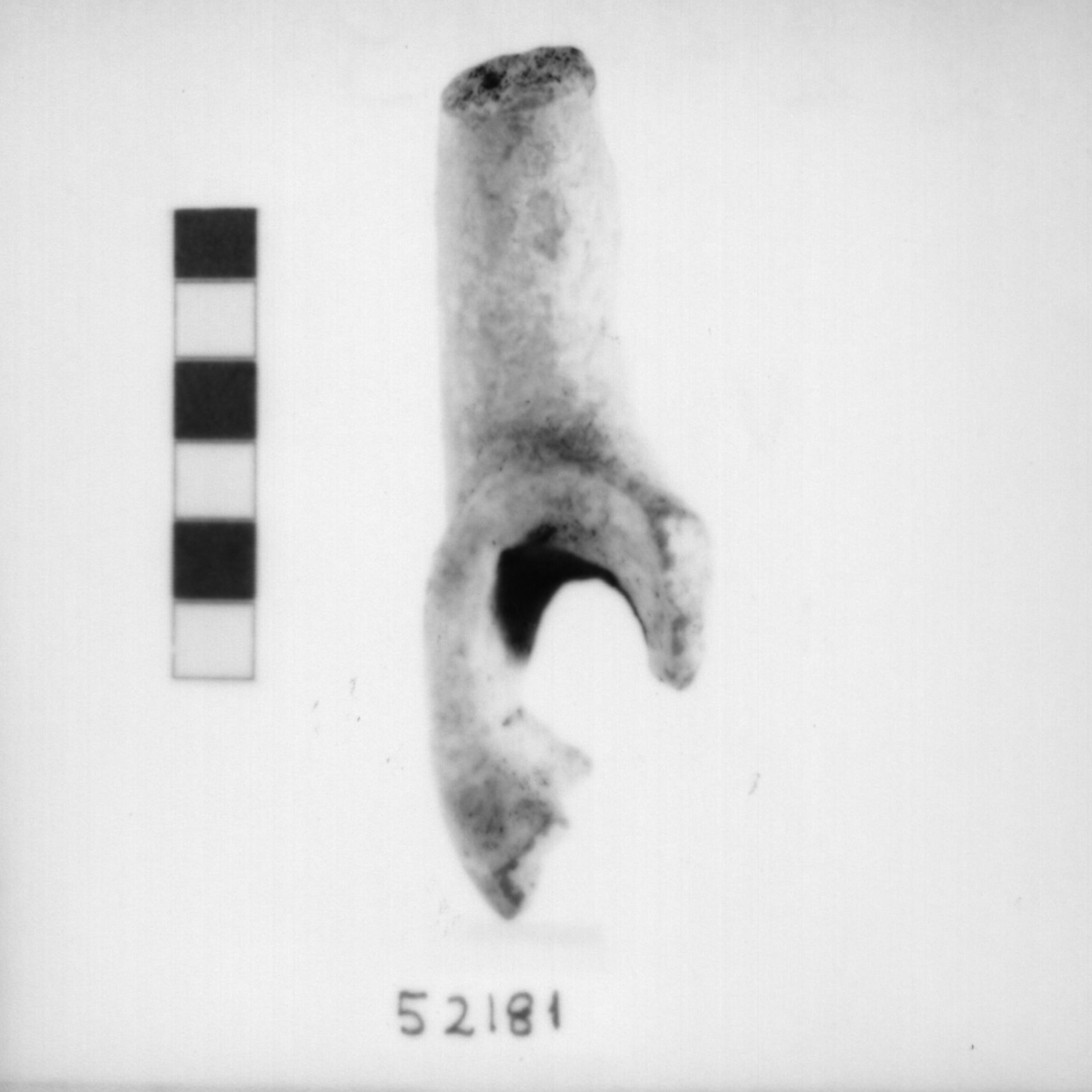 ansa a nastro con sopraelevazione cornuta (Bronzo recente)