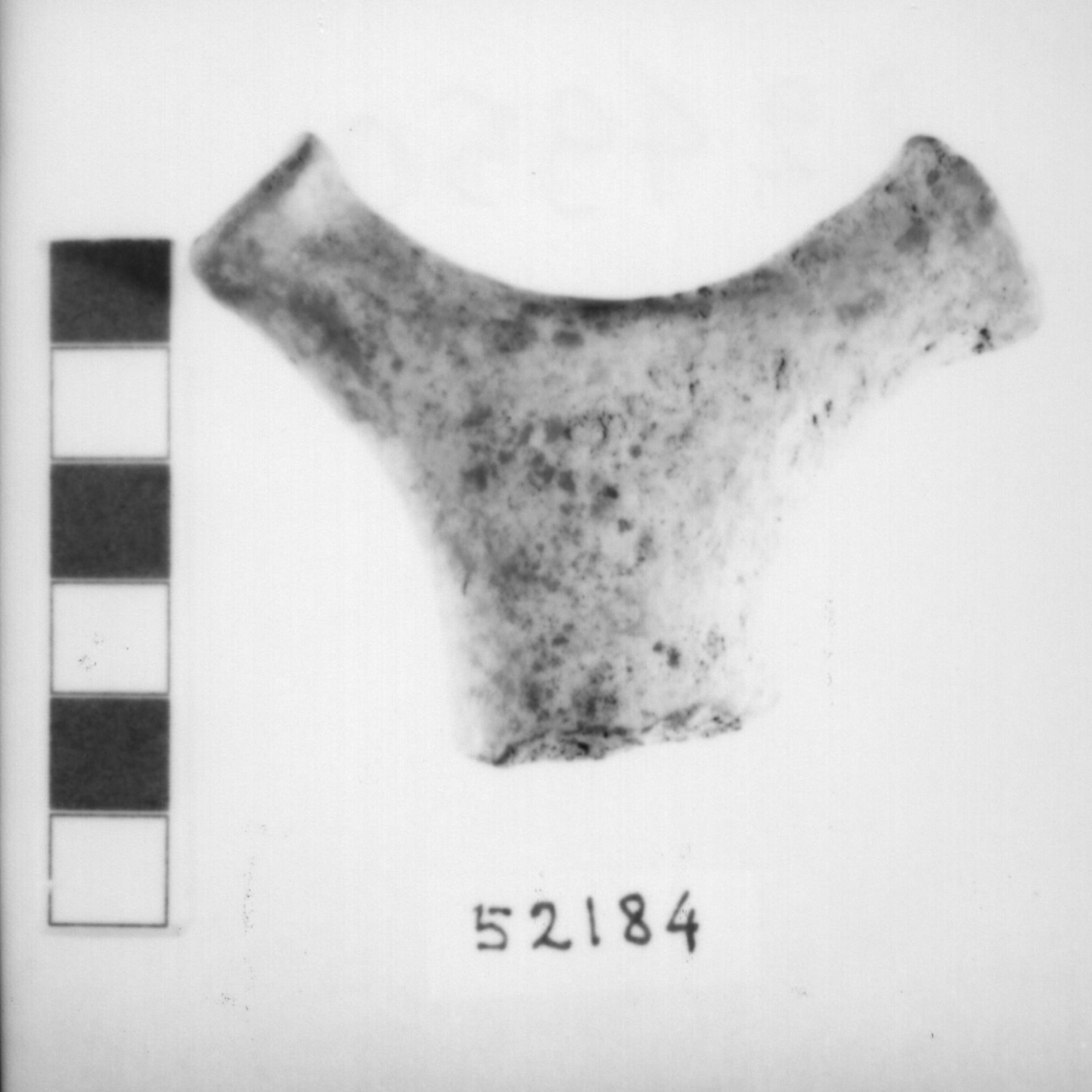 ansa con sopraelevazione a corna di lumaca (Bronzo recente)