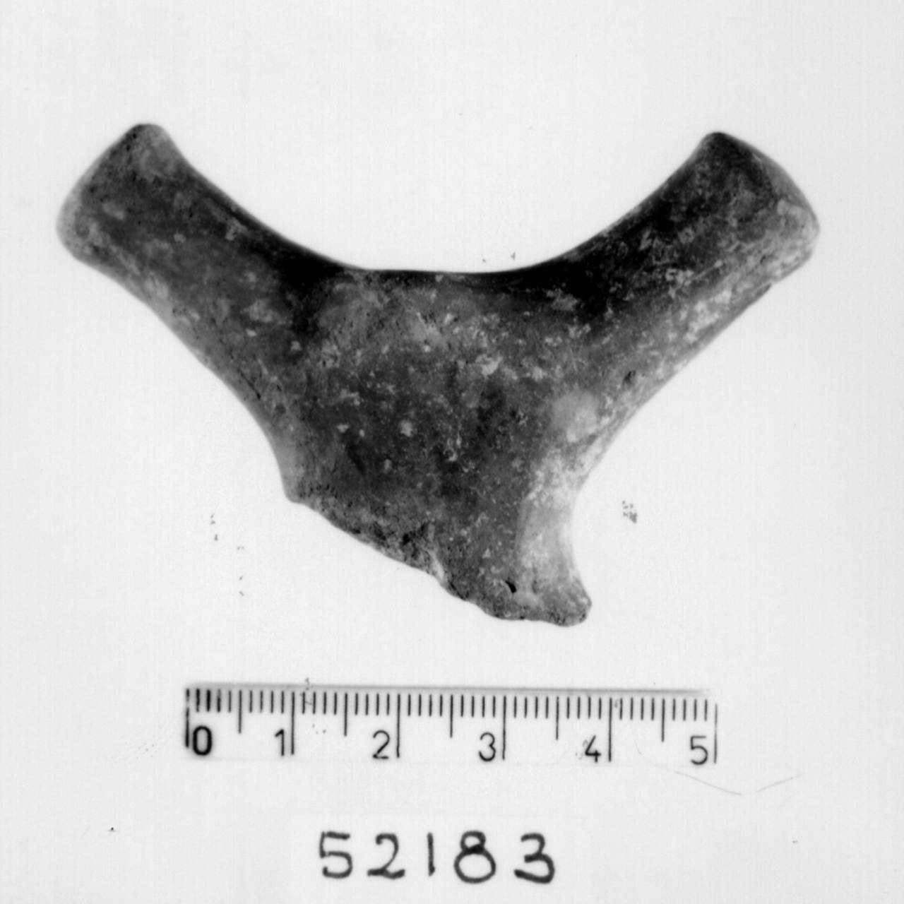 ansa con sopraelevazione a corna di lumaca (Bronzo recente)