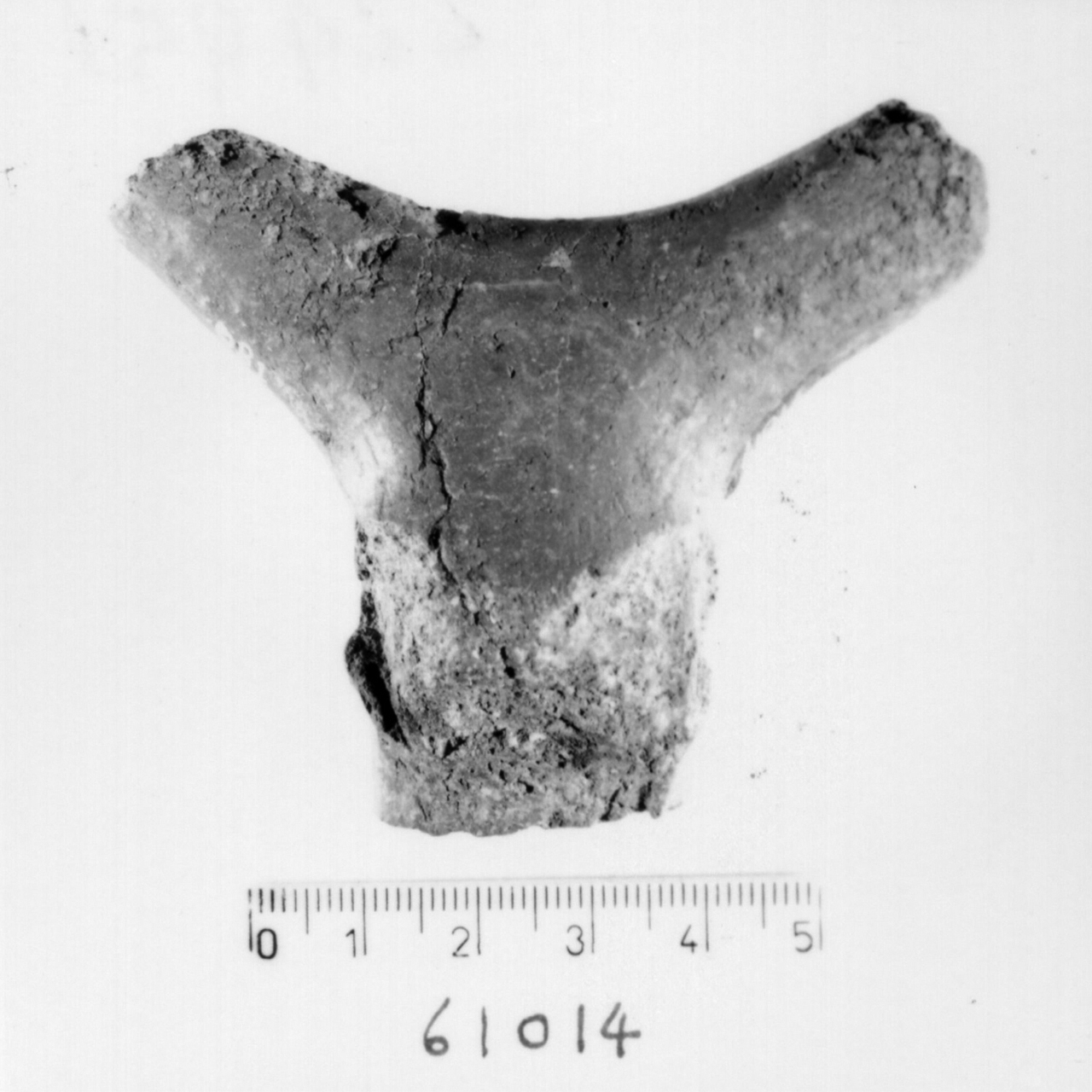 ansa con sopraelevazione a corna di lumaca (Bronzo recente)