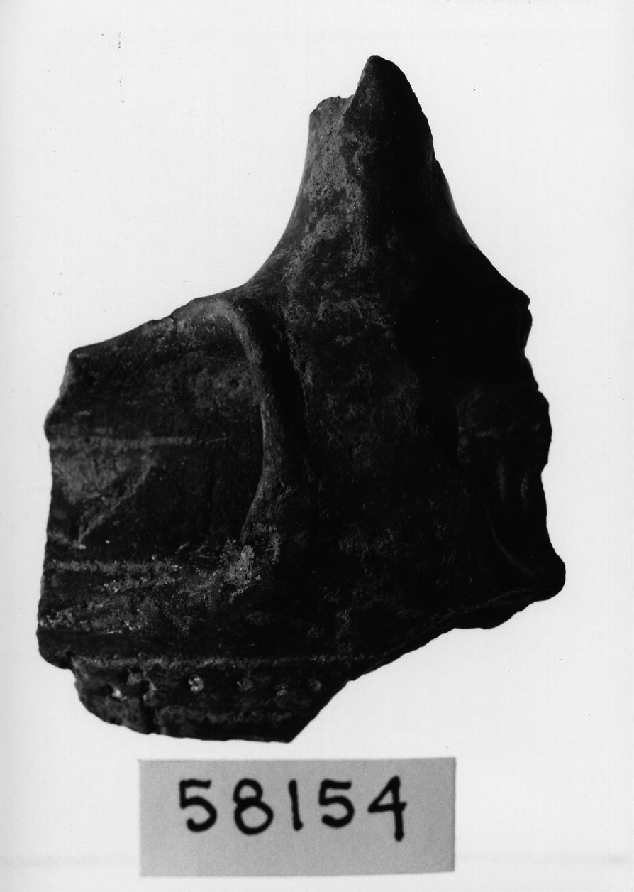 ciotola carenata/ frammento - facies appenninica (Bronzo medio 3)